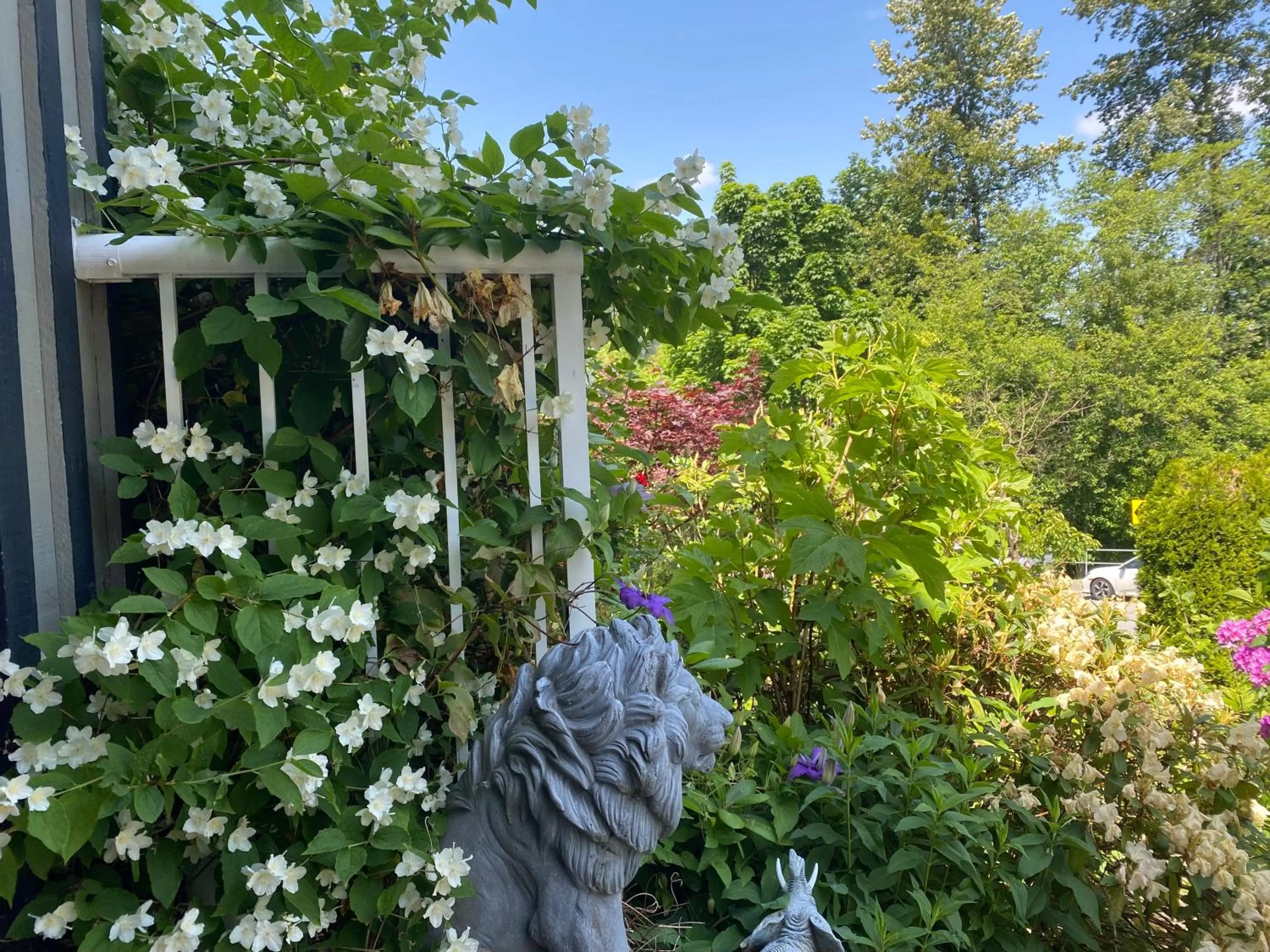 View (from property/room) in Jane's private rooms with shared washroom