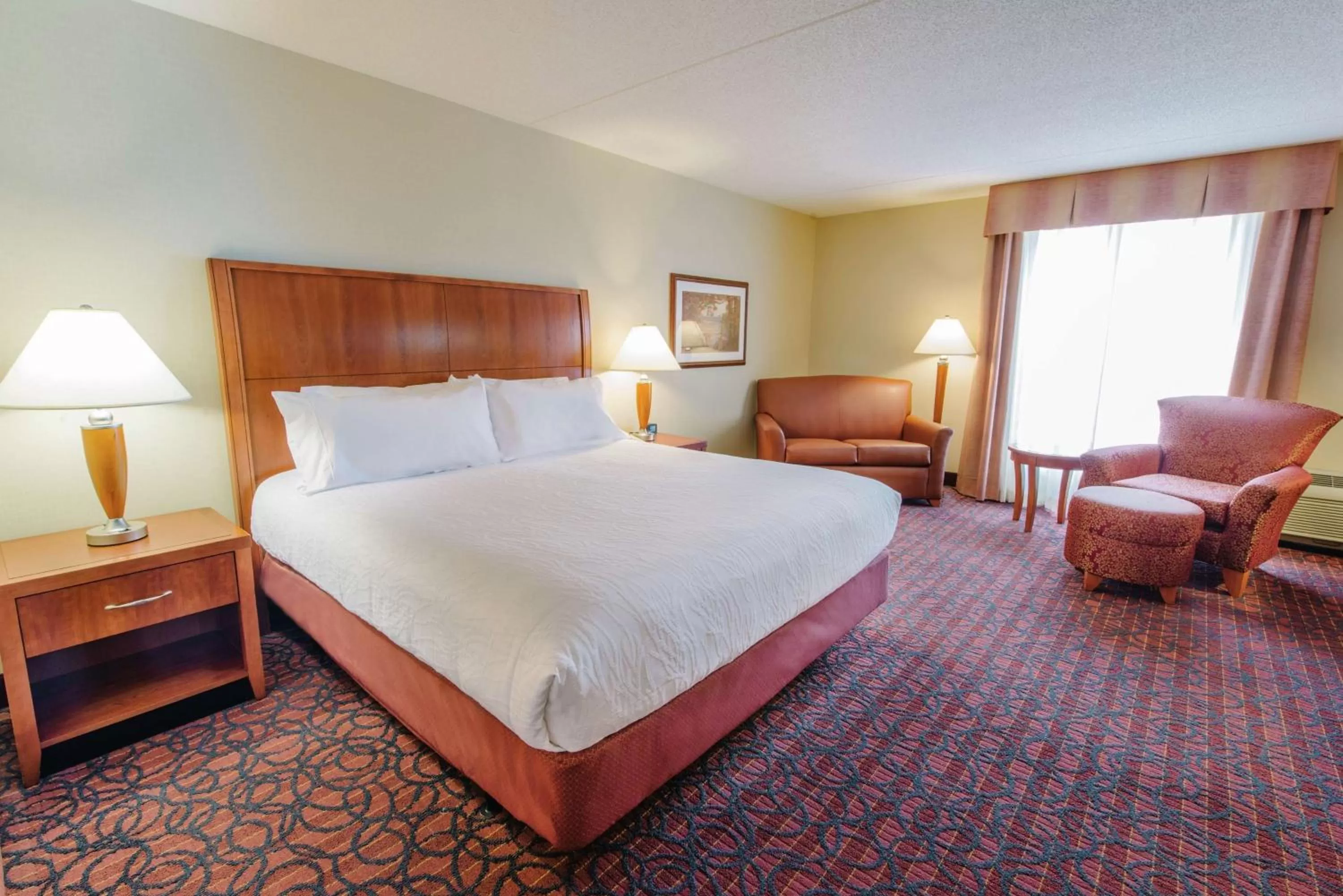 King Room - Hearing Accessible with Tub in Hilton Garden Inn Manchester Downtown