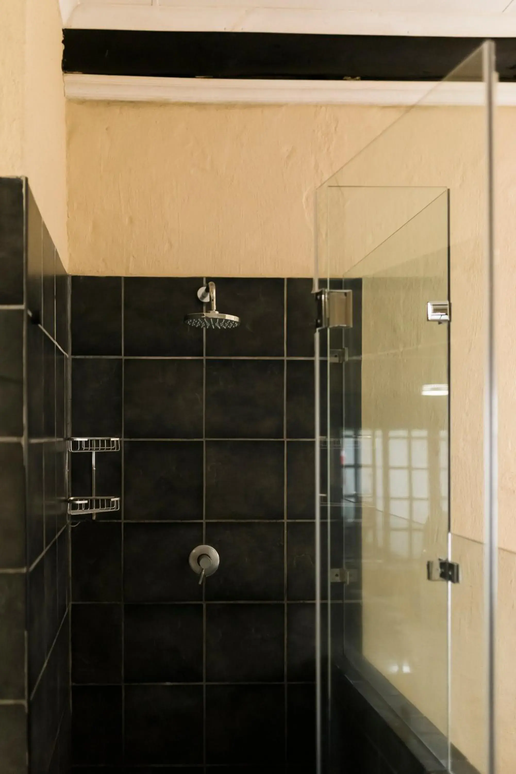 Shower, Bathroom in Tzaneen Country Lodge