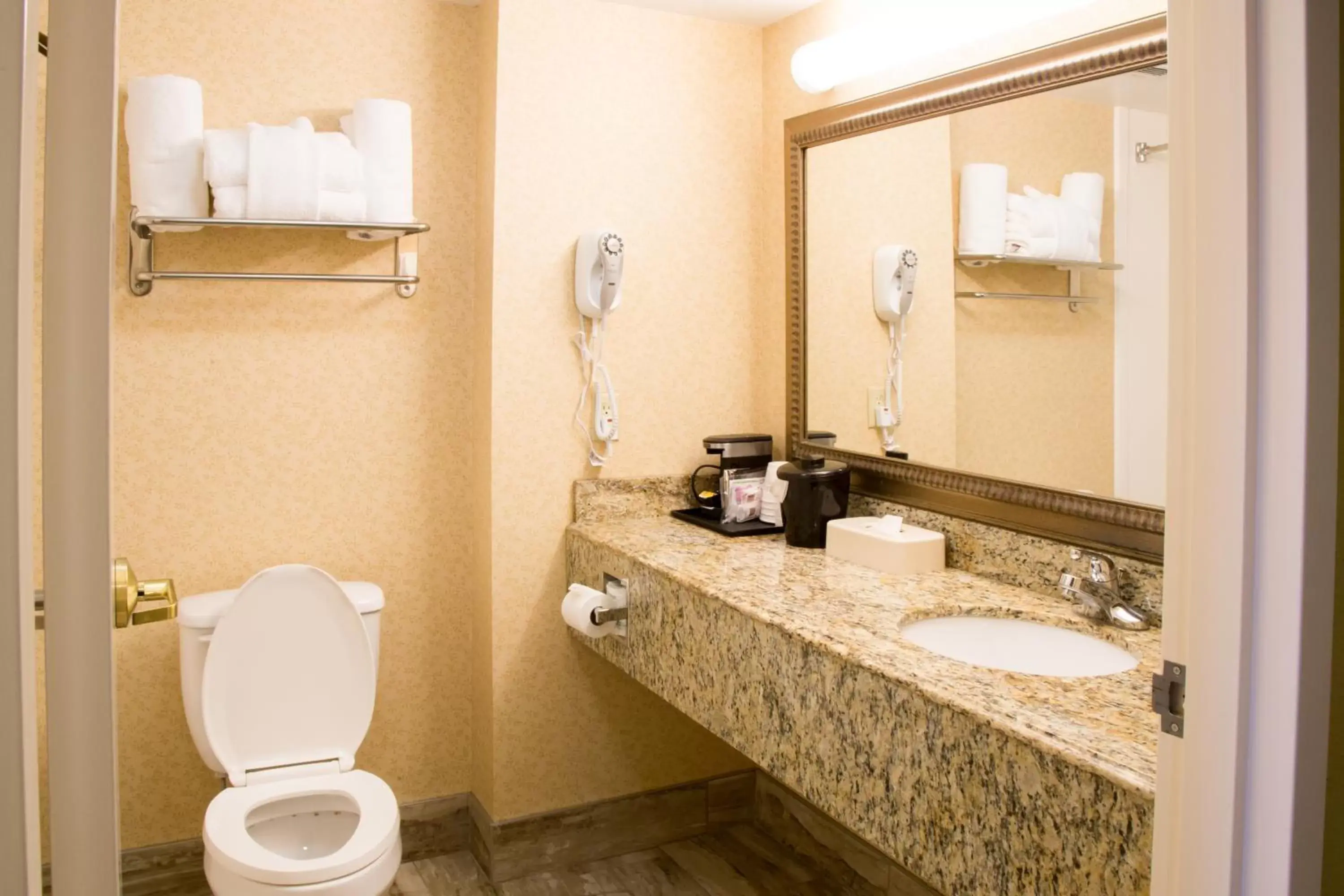 Bathroom in Best Western Executive Inn & Suites
