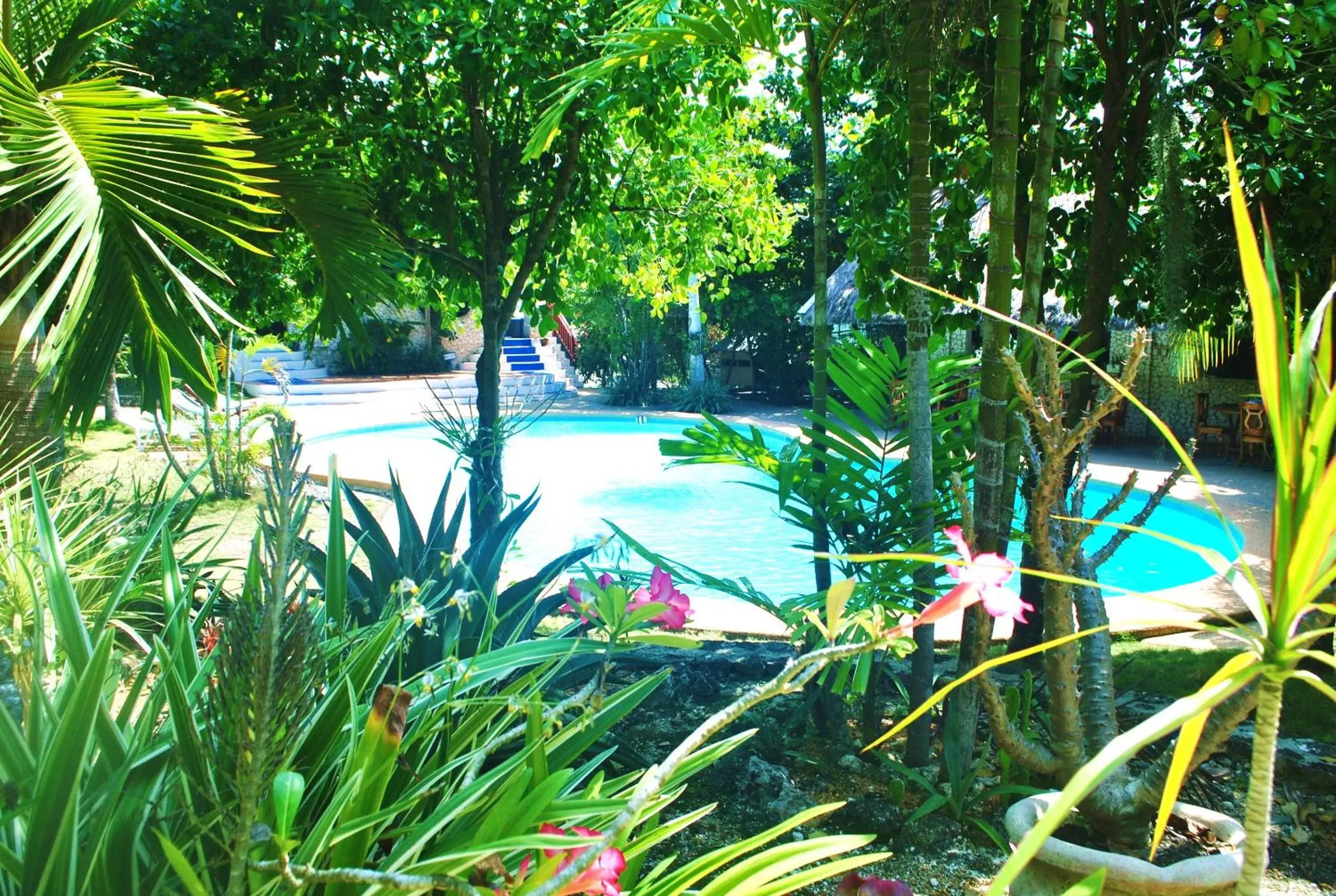 Swimming pool in The Blue Orchid Resort Swimming pool in The Blue Orchid Resort