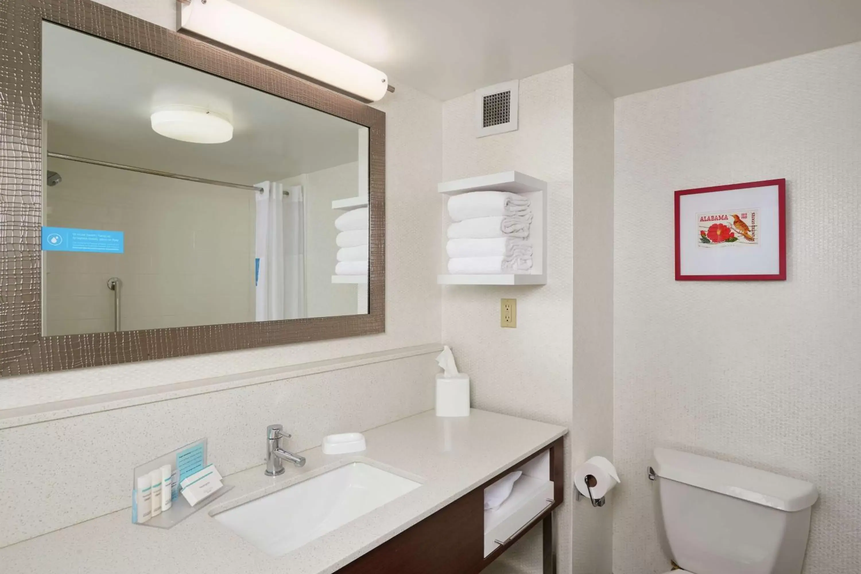 Bathroom in Hampton Inn & Suites Oxford-Anniston