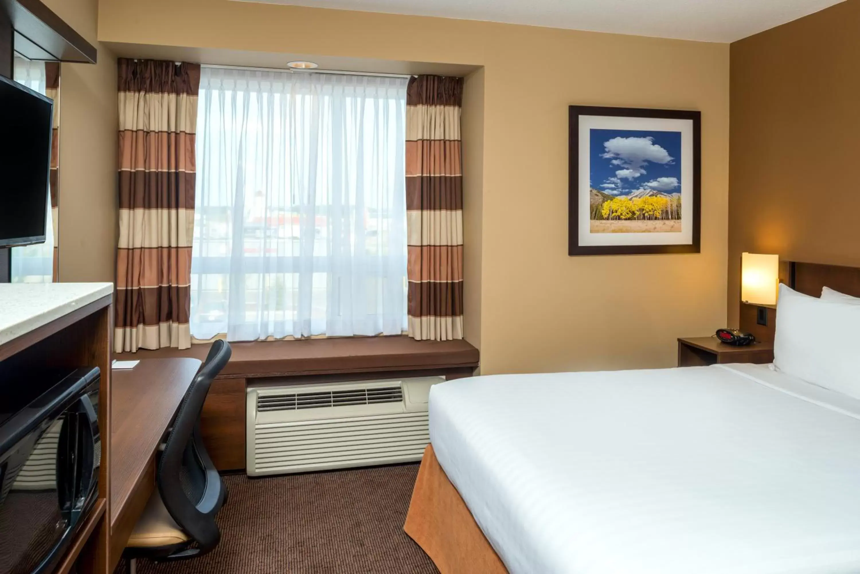 Queen Room - Disability Access in Microtel Inn & Suites by Wyndham Red Deer