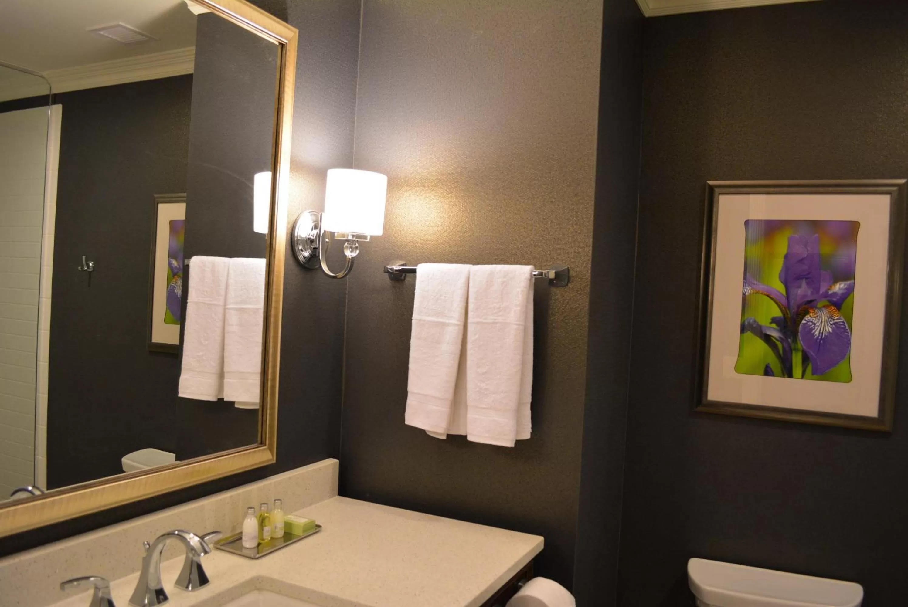 Bathroom in Majestic Inn and Spa