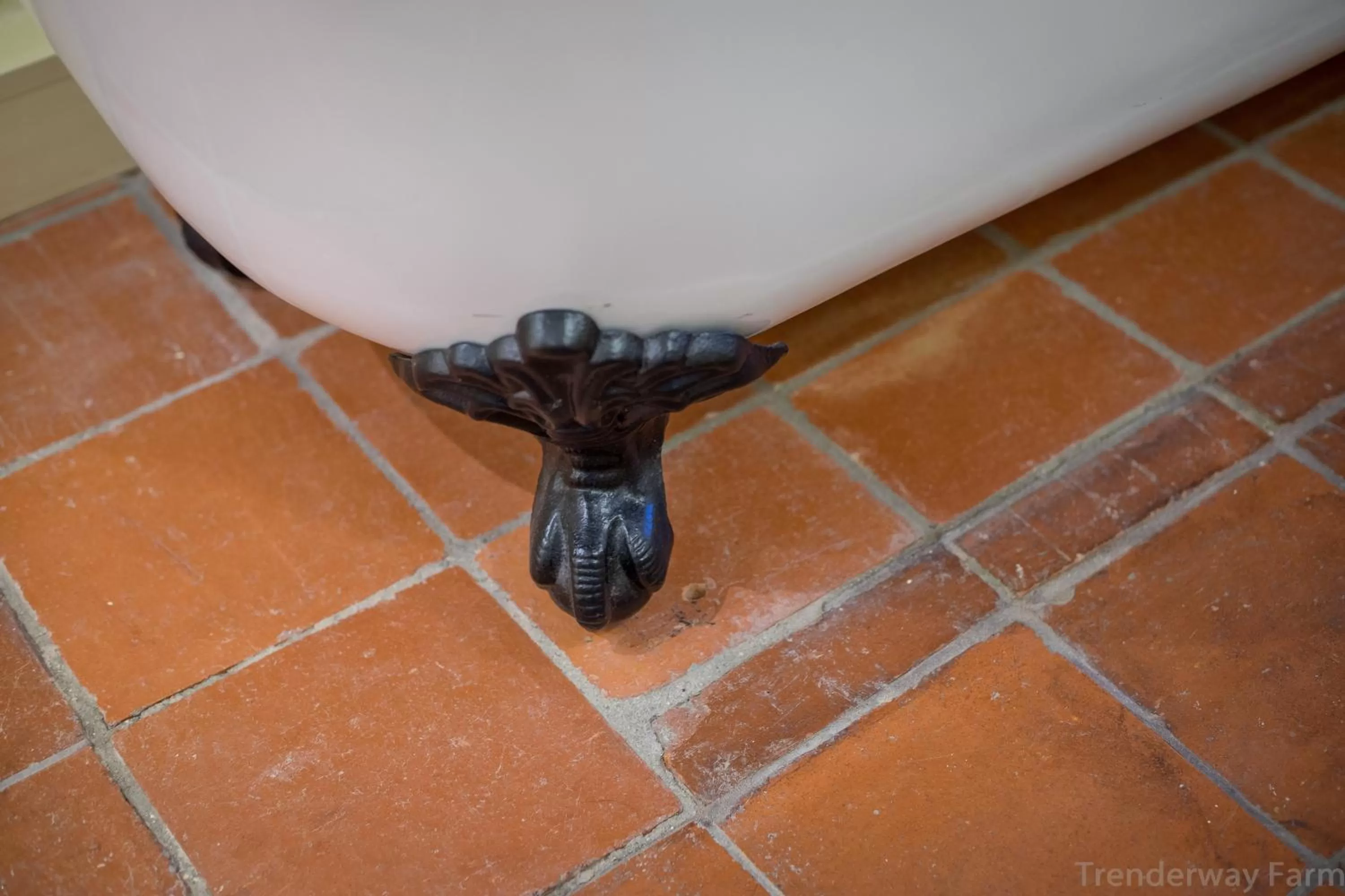 Bathroom, Other Animals in Trenderway Farm