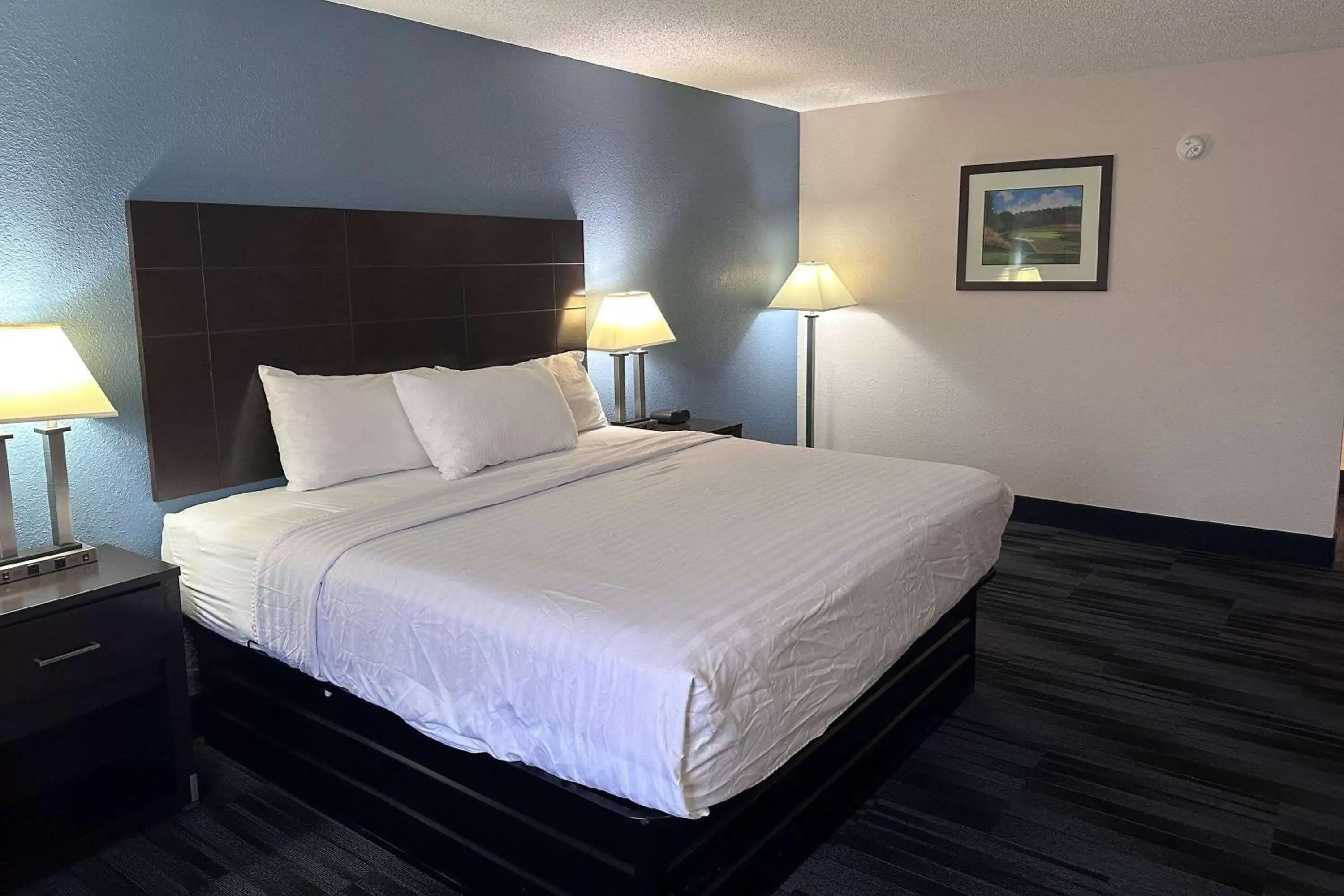 Photo of the whole room, Bed in Baymont Inn and Suites by Wyndham Farmington, MO