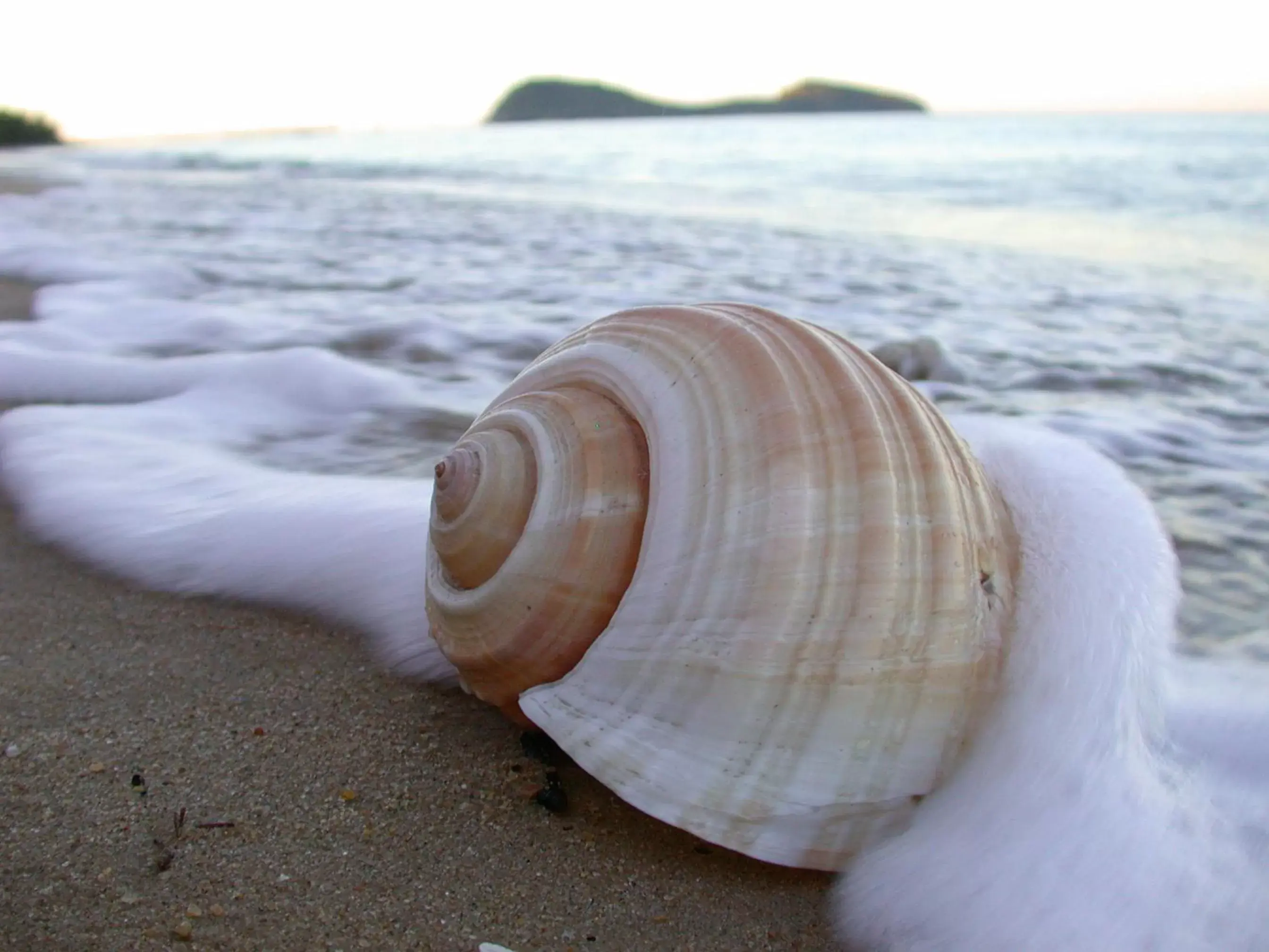 Other in Argosy On The Beach