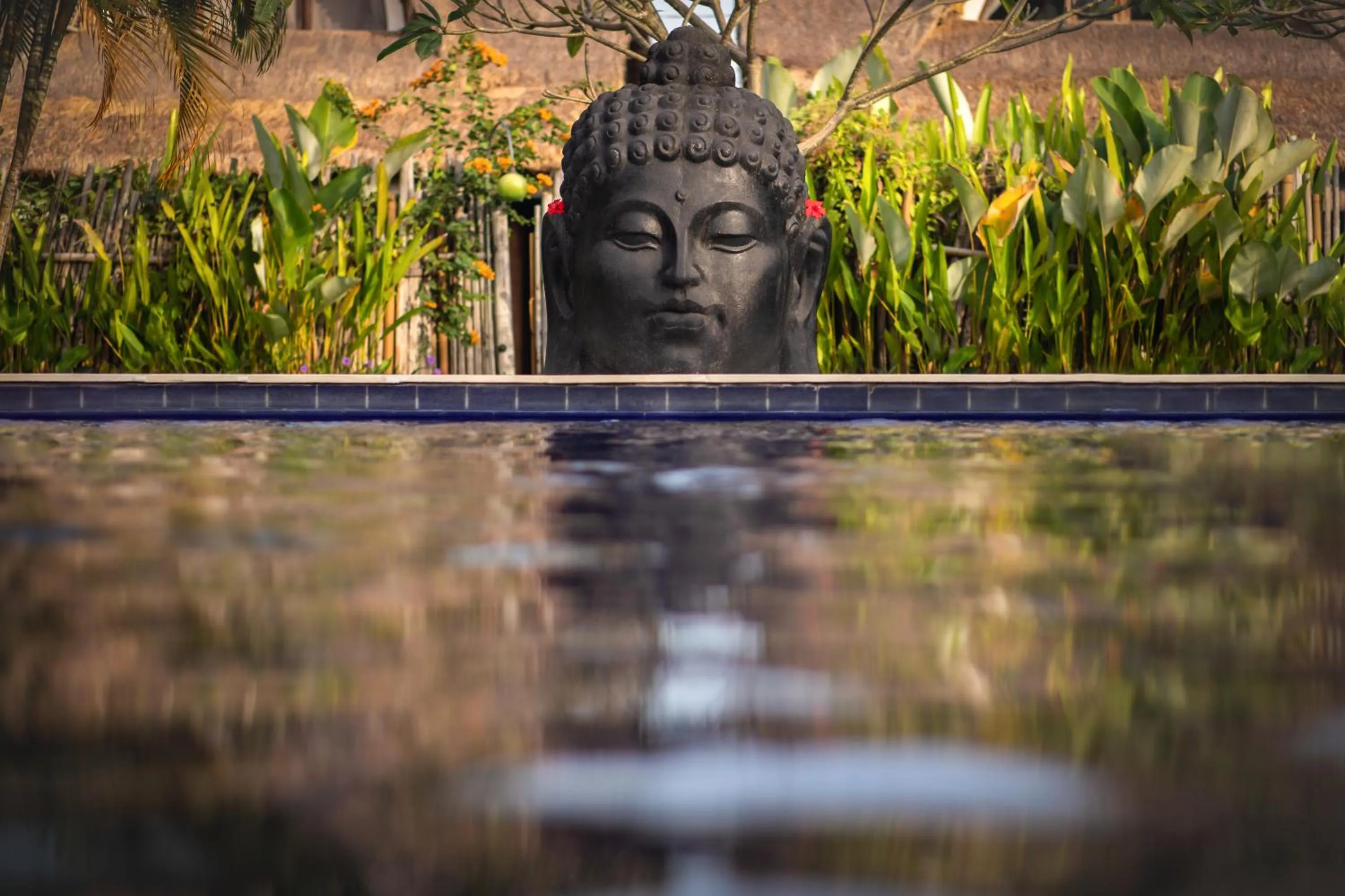 Garden view in United Colors of Bali