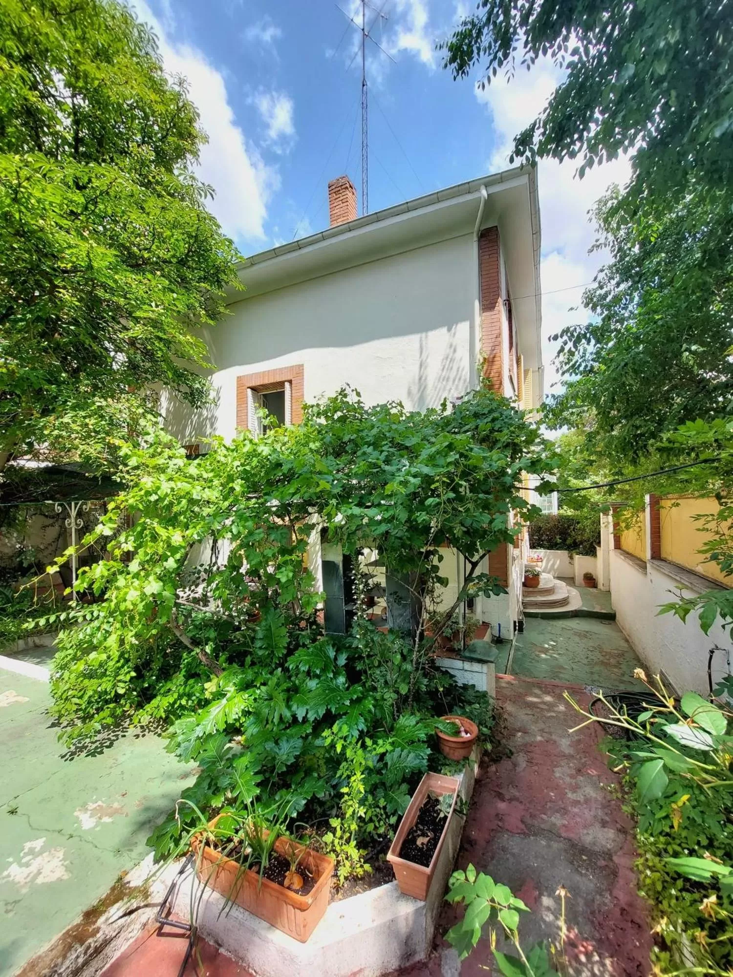 Property building in N1 Casa de Madrid - greenpeace line