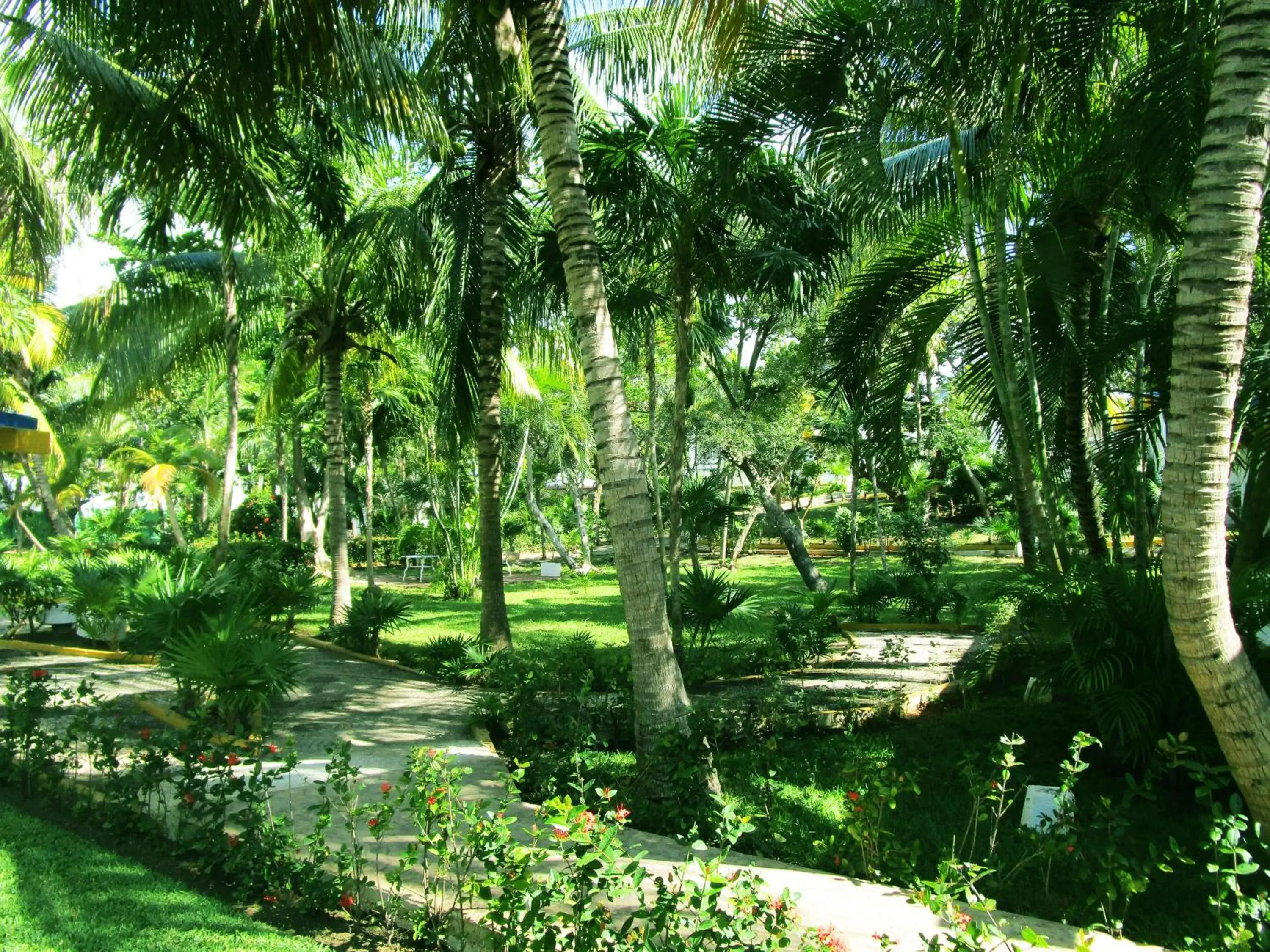 Natural landscape in Hotel Maya Caribe Faranda Cancún