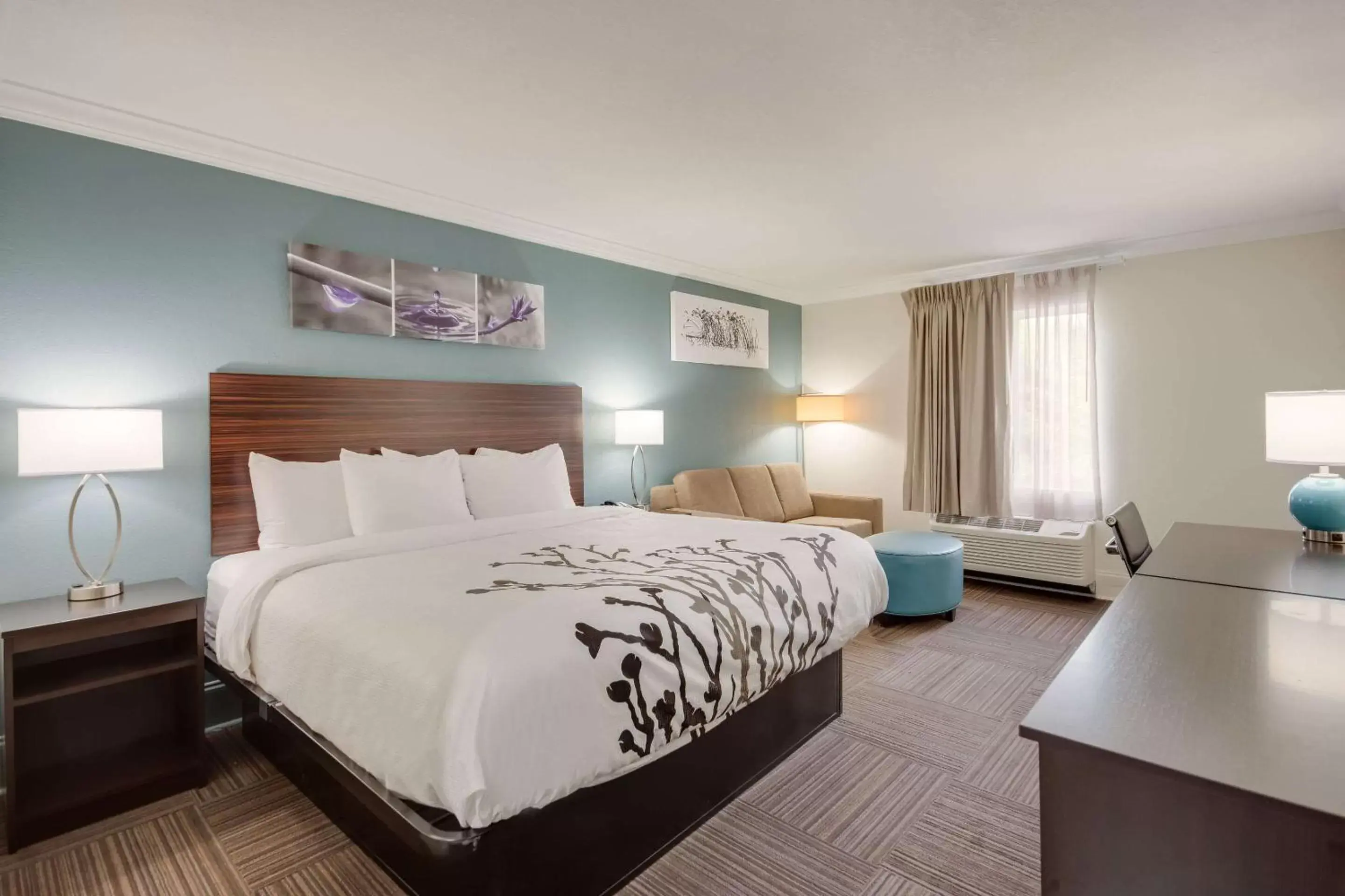 Photo of the whole room, Bed in Sleep Inn & Suites Niceville - Destin