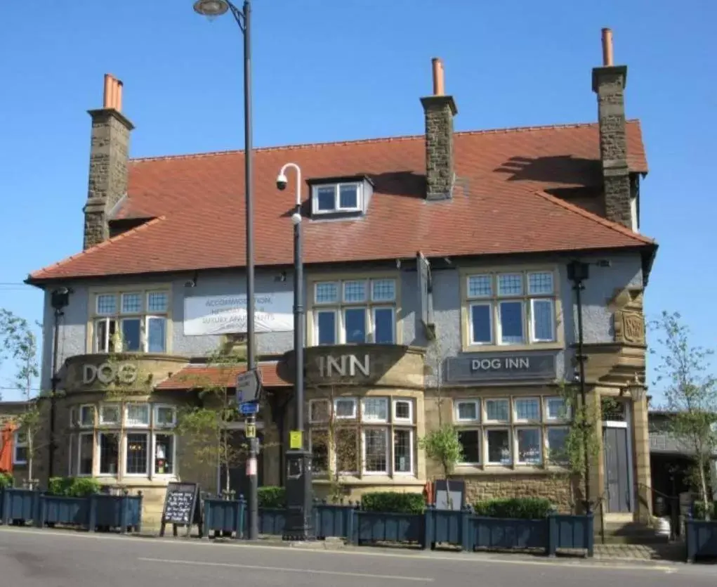 Property Building in The Dog Inn