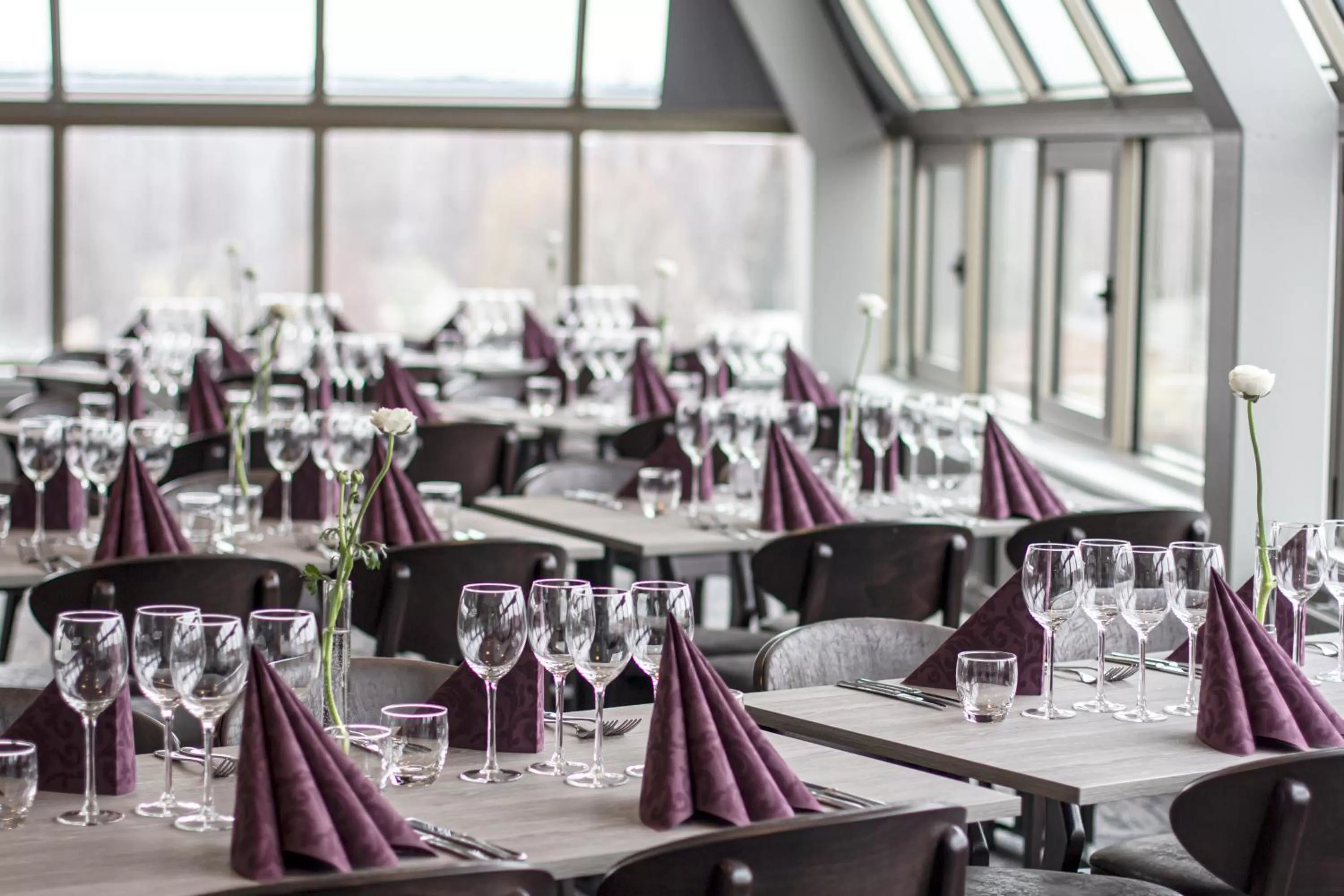 Restaurant/places to eat in Hotell Stinsen