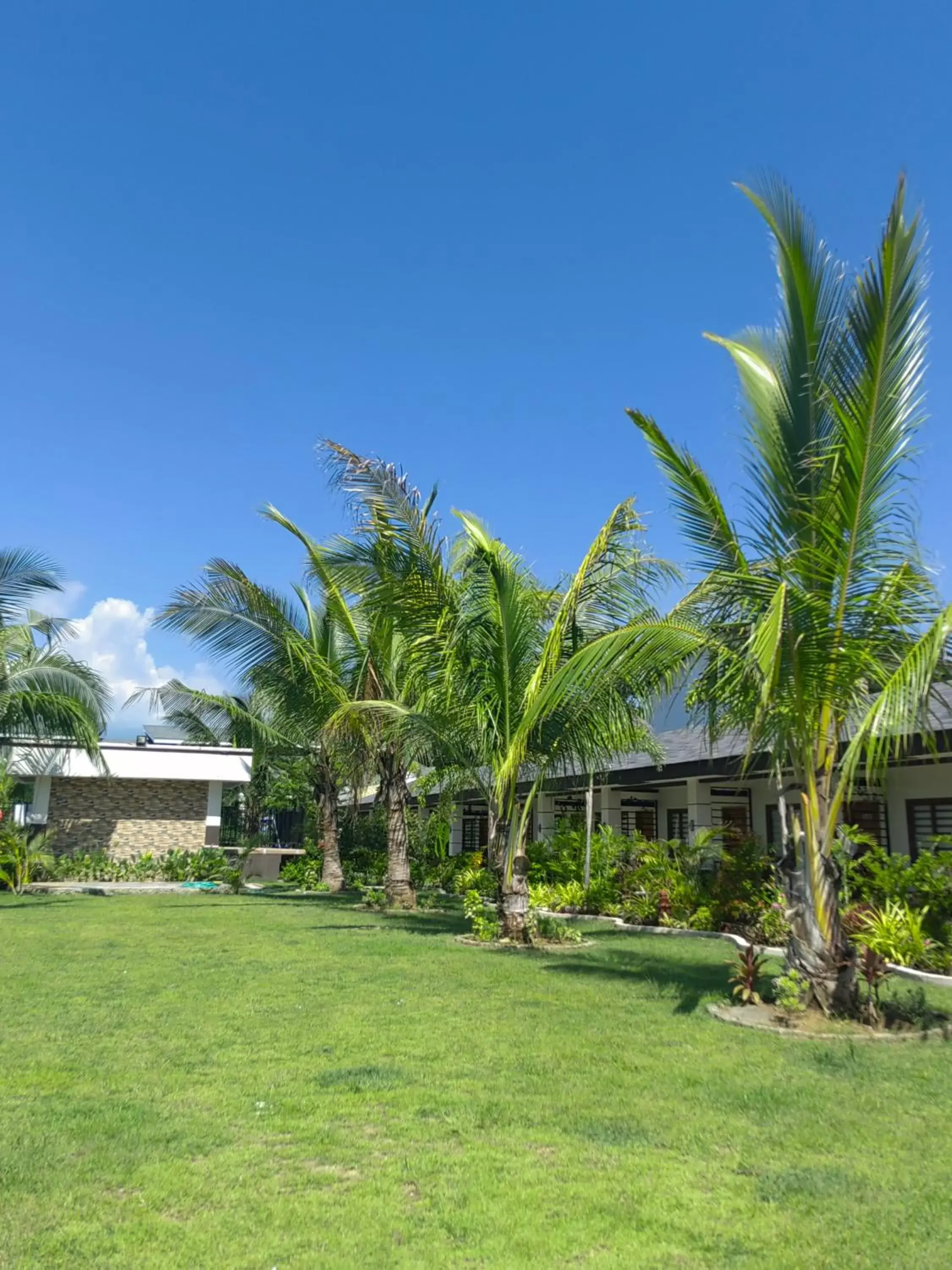 Garden view in Marand Beach Resort Garden view in Marand Beach Resort