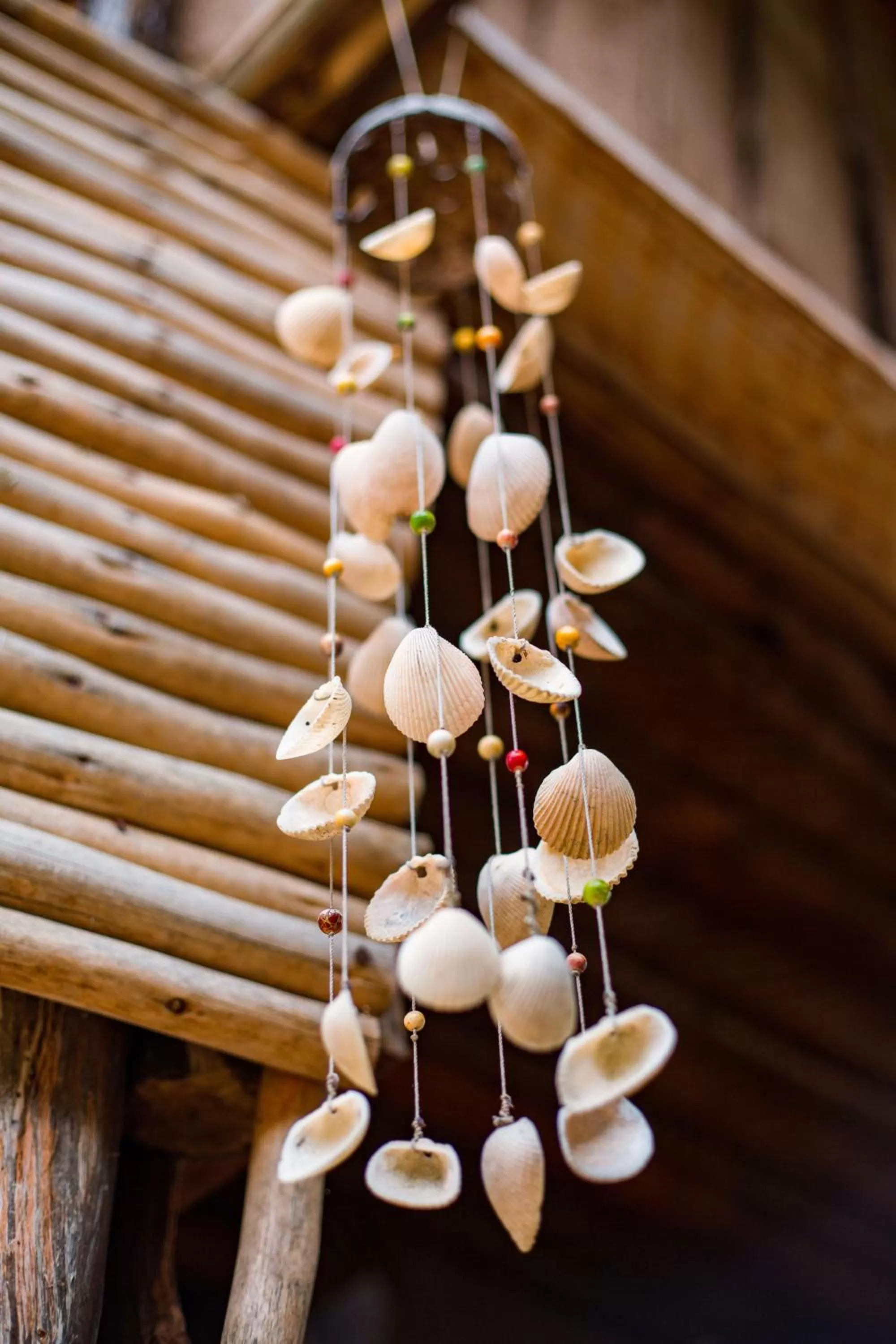 Decorative detail in Mikoko Beach & Cottages