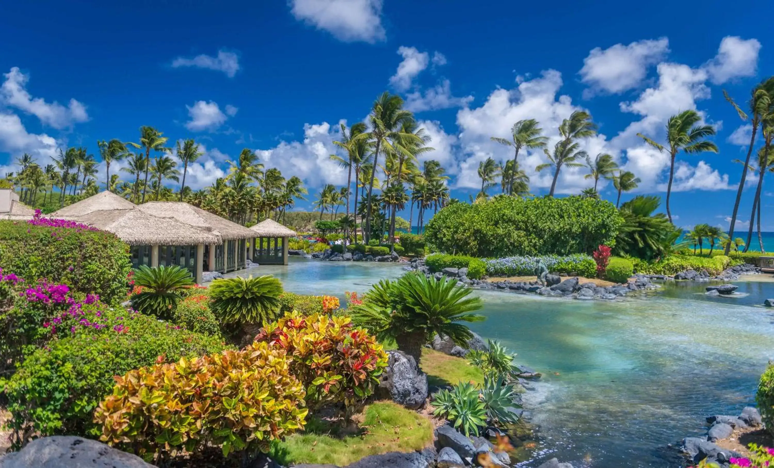 Swimming pool in Grand Hyatt Kauai Resort & Spa