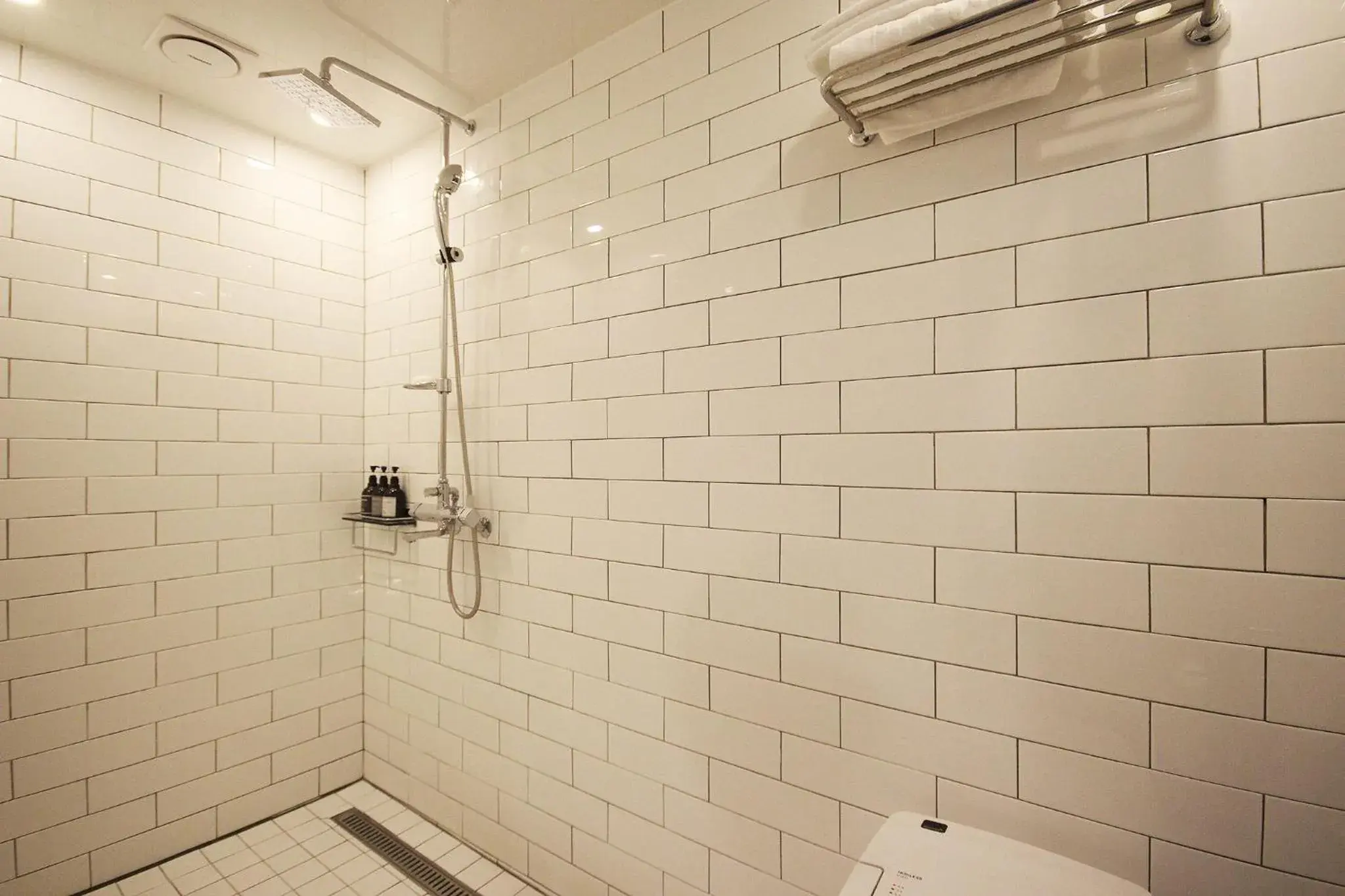 Shower, Bathroom in Hotel Gray