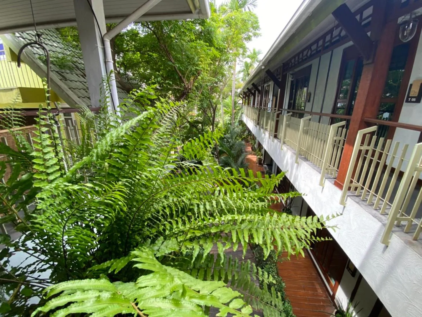 Garden in The Twenty Lodge