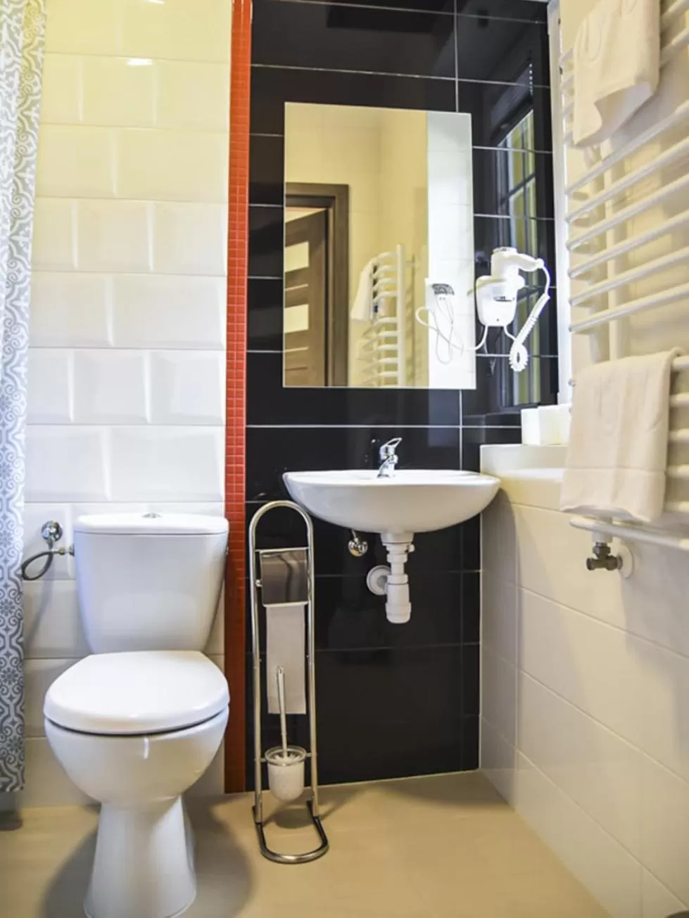 Toilet in Willa Szczepaniakówka