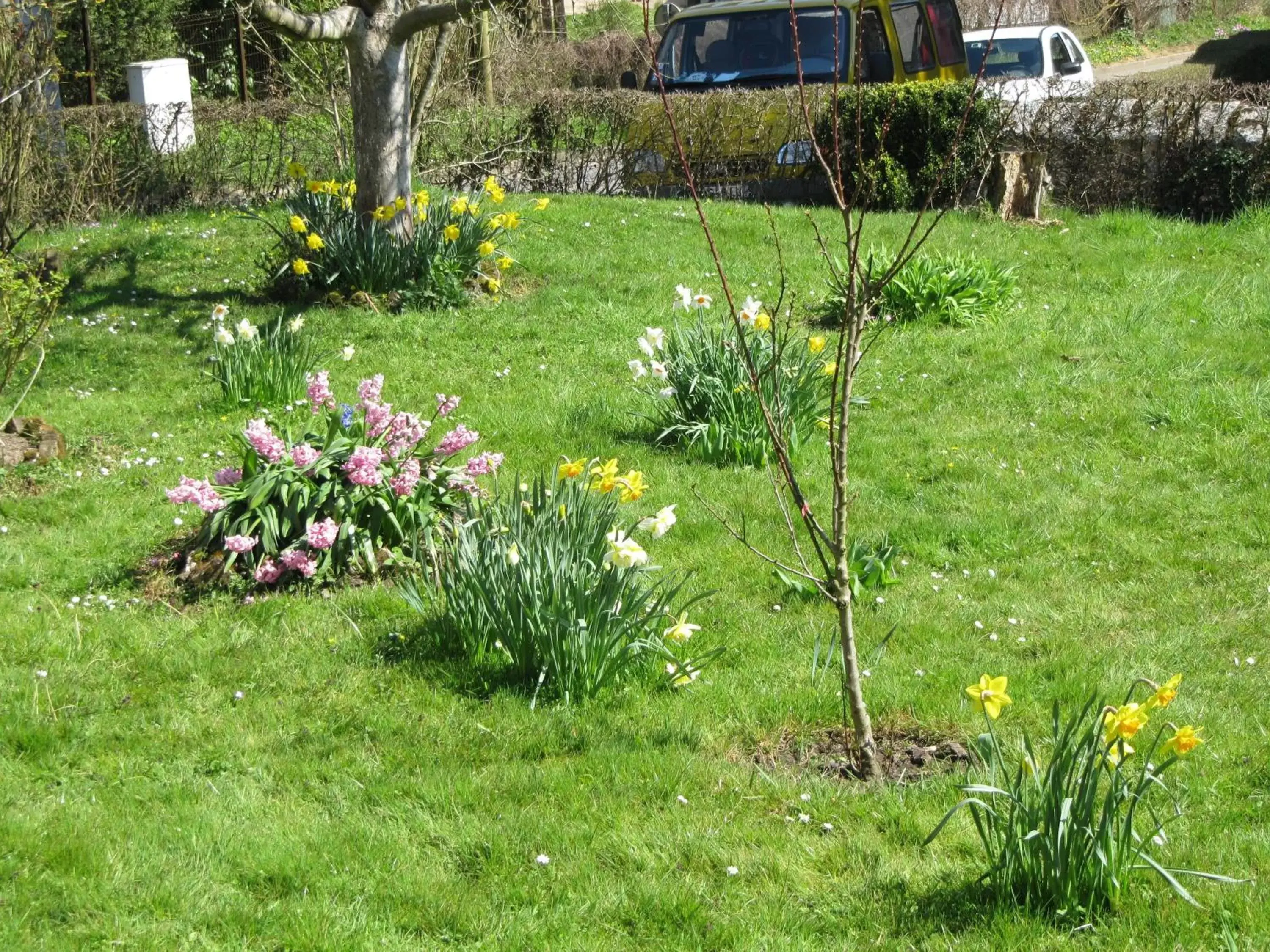 Garden in La Roseraie du Prieure