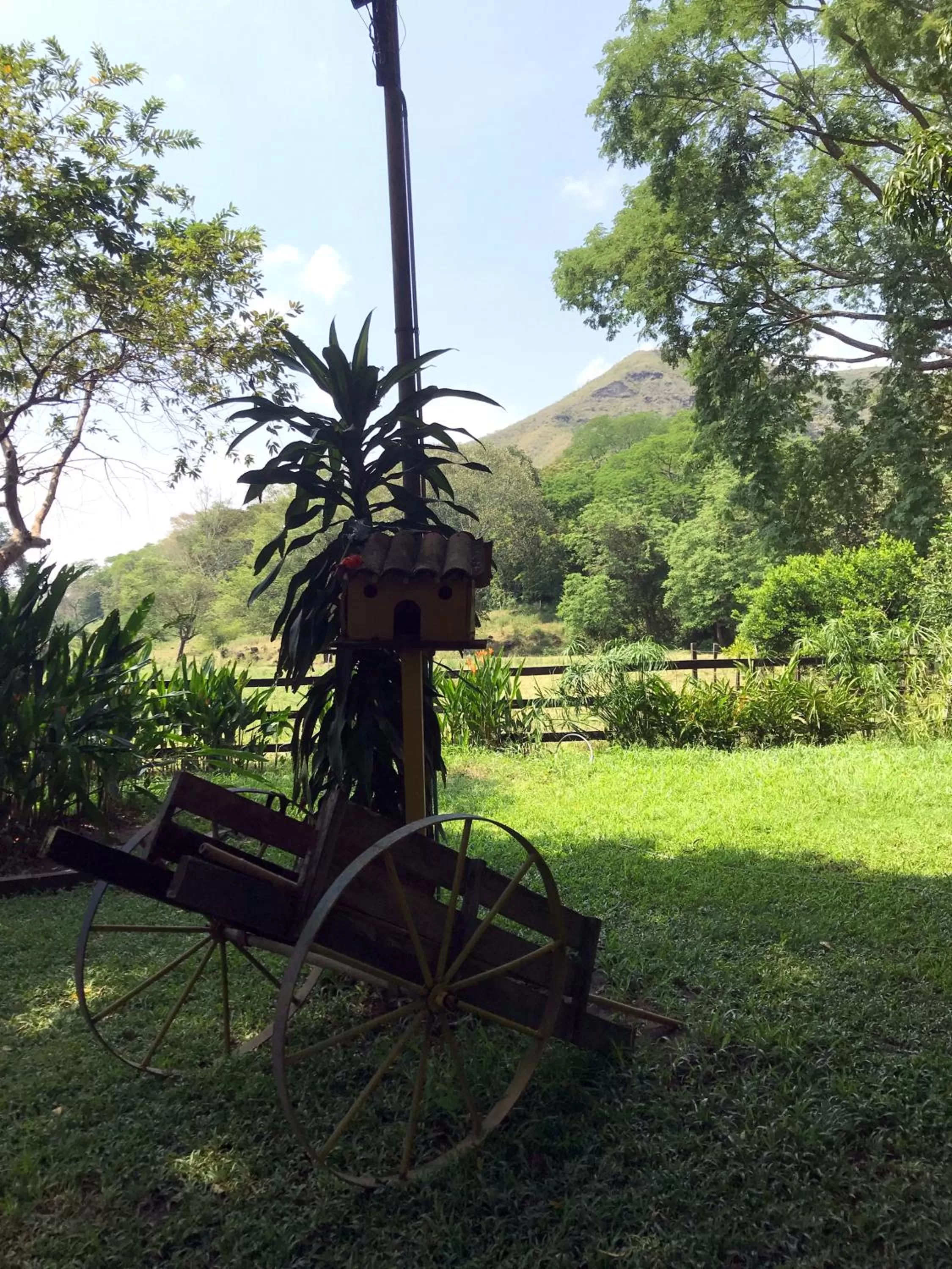 Garden in Waka Hotel Rural