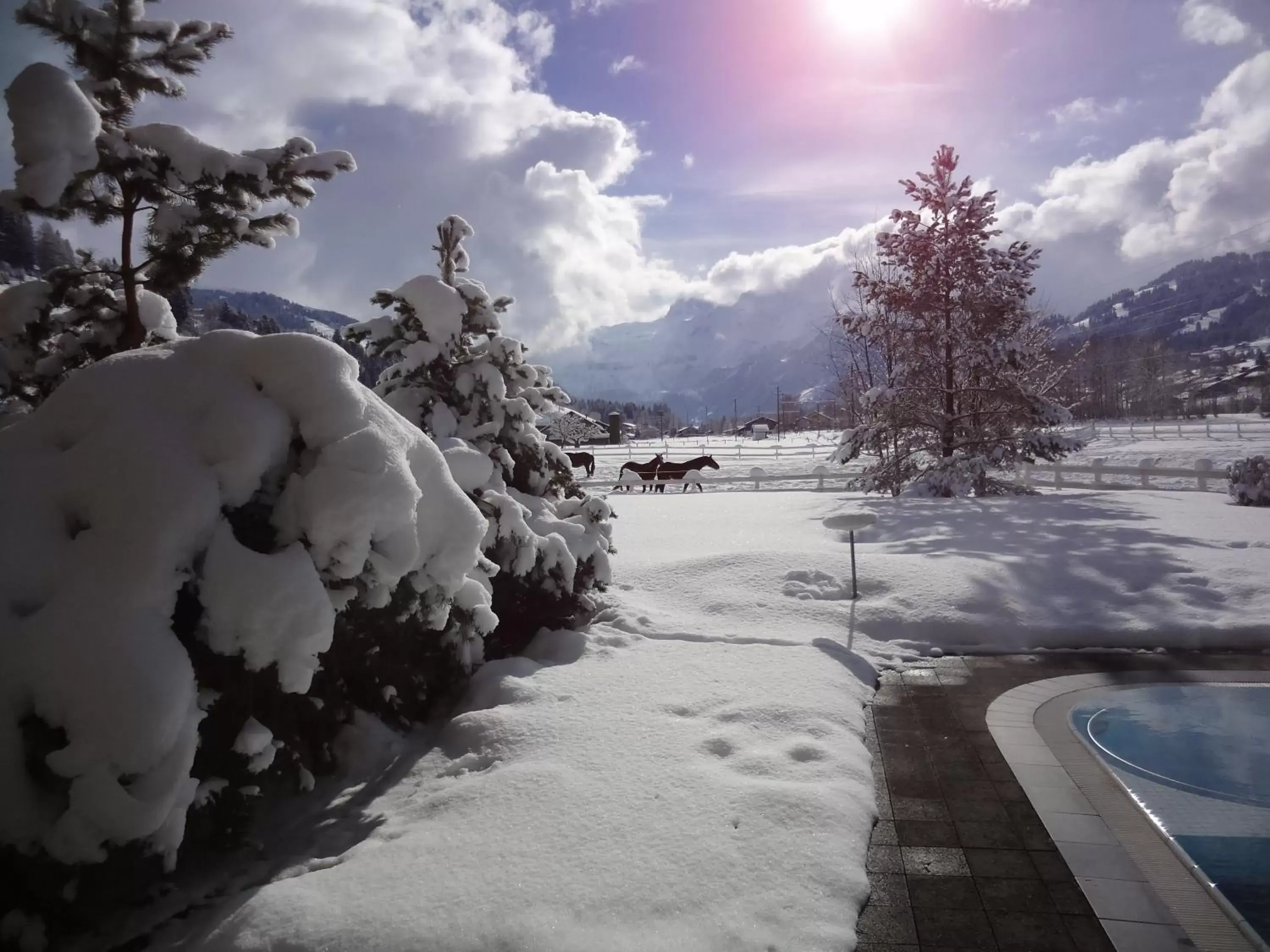 Natural landscape, Winter in Hotel Simmenhof