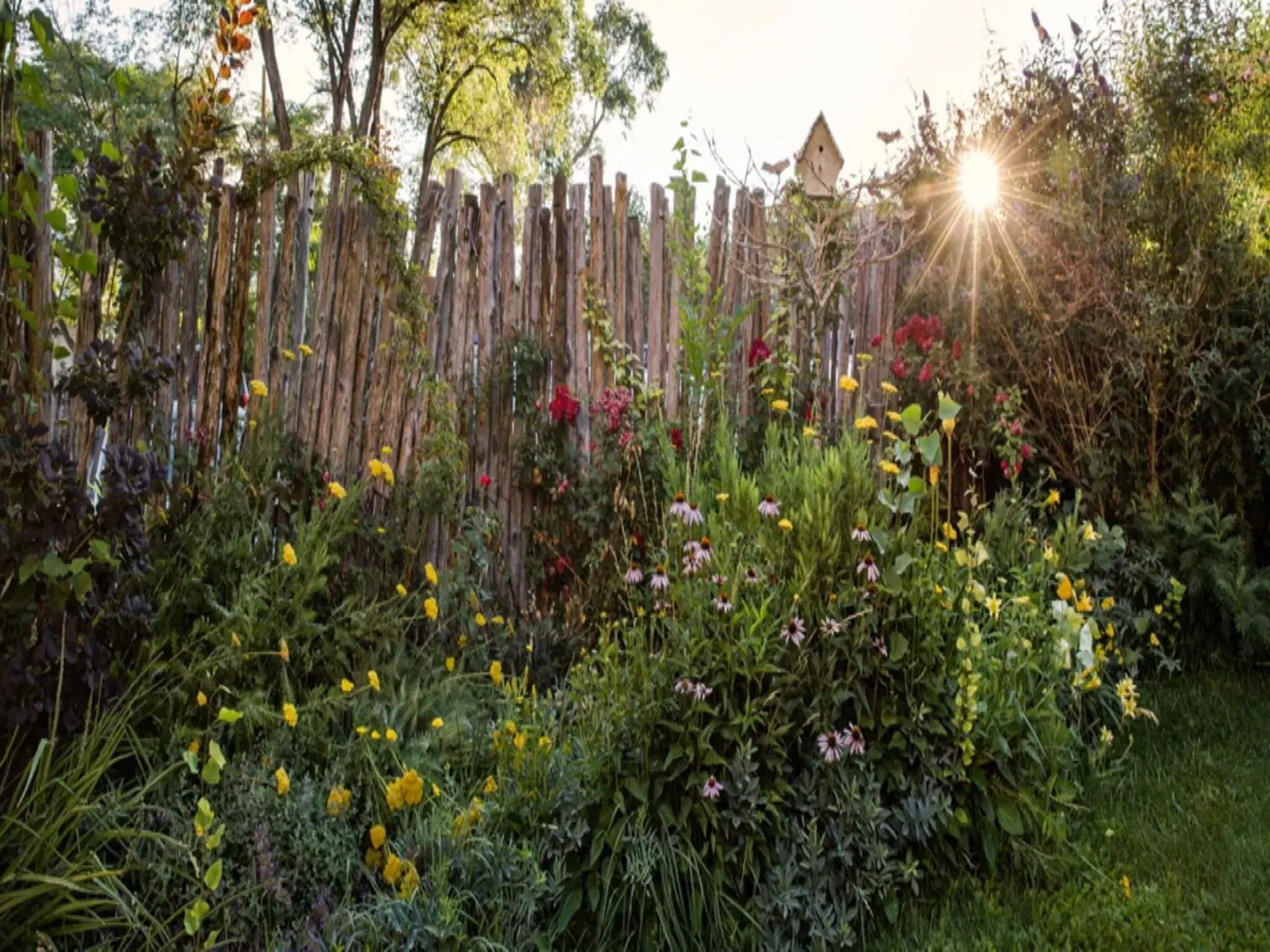 Garden in The Hacienda & Spa