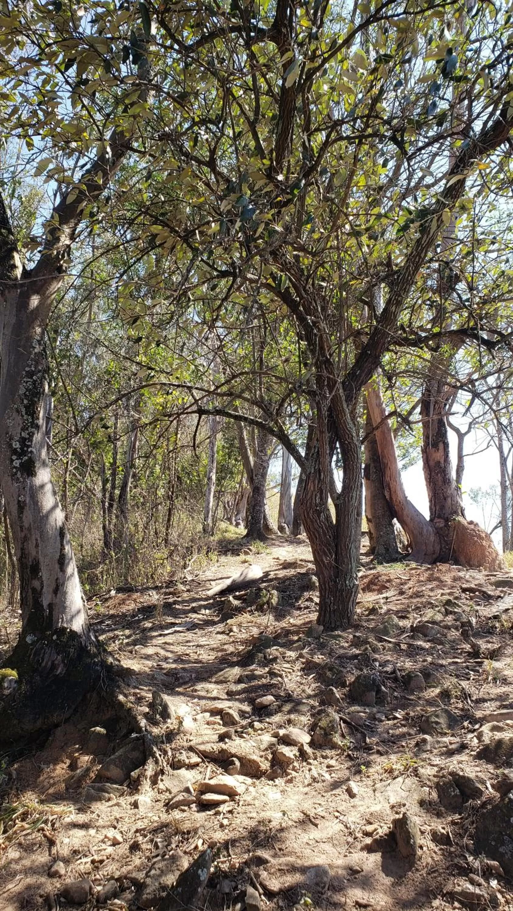 Hiking in Pousada Solar da Montanha