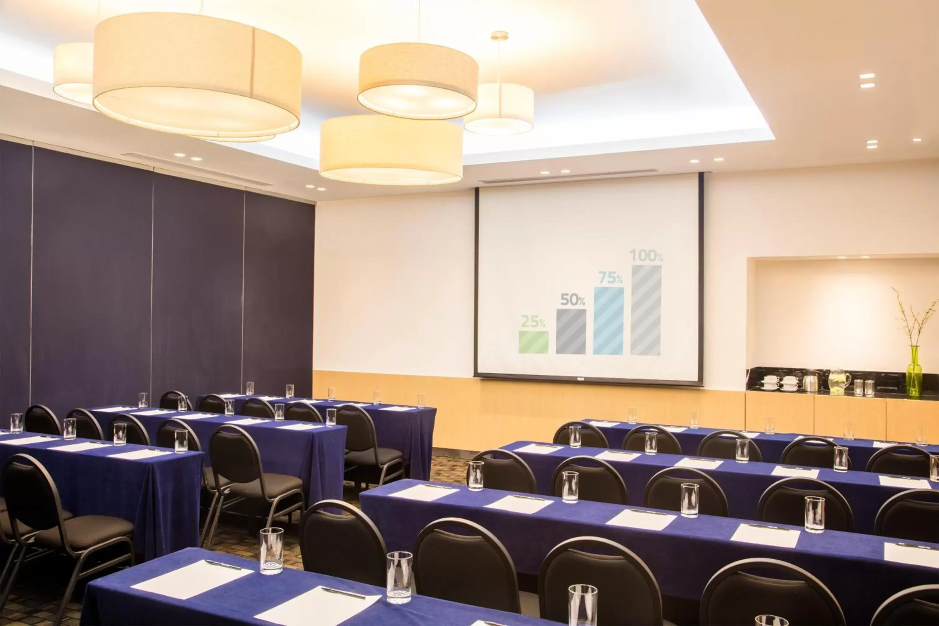 Meeting/conference room in Fiesta Inn Insurgentes Viaducto
