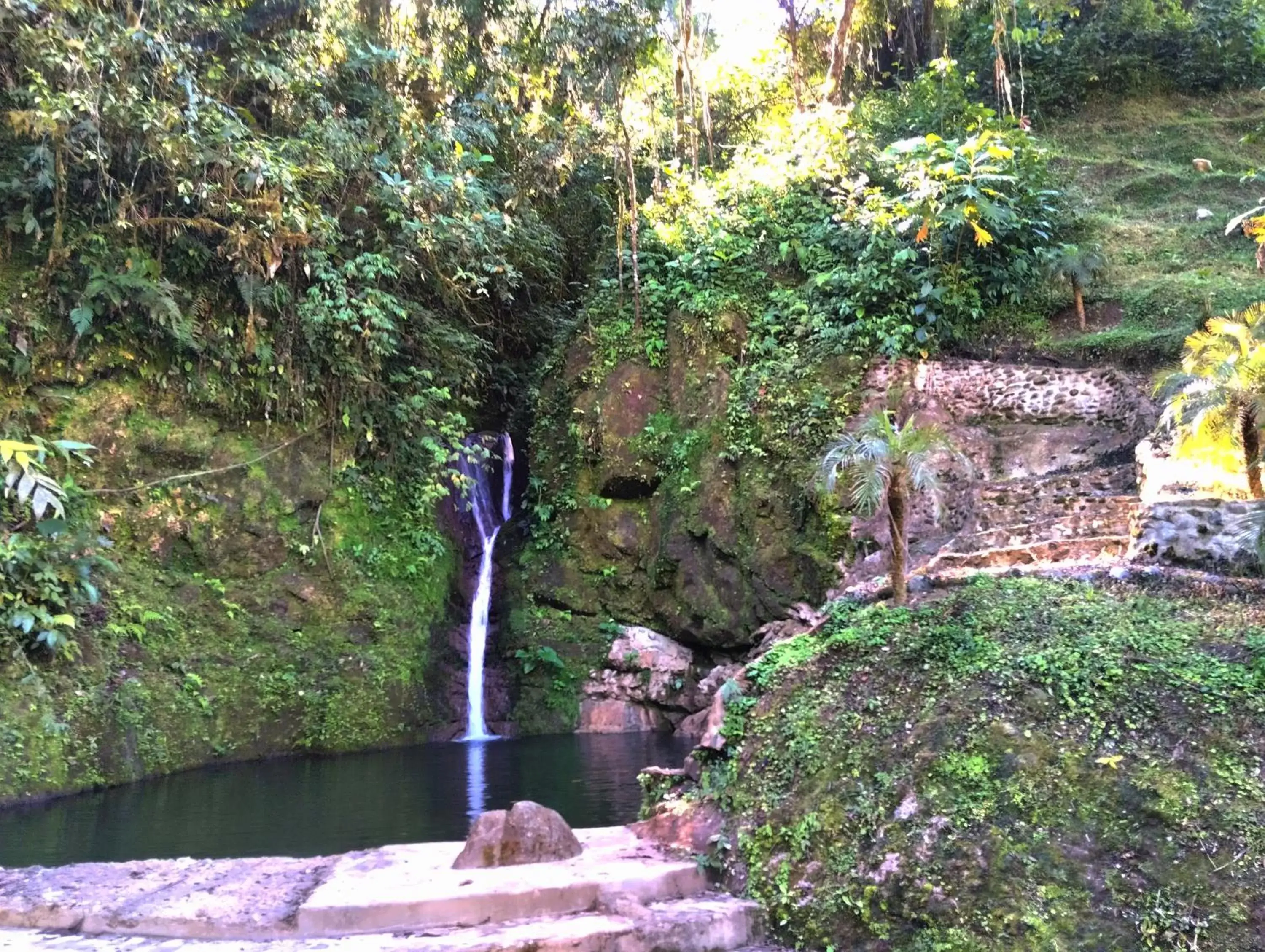 Swimming pool, Natural Landscape in Hotel Rivel - Adventure & Nature Retreat