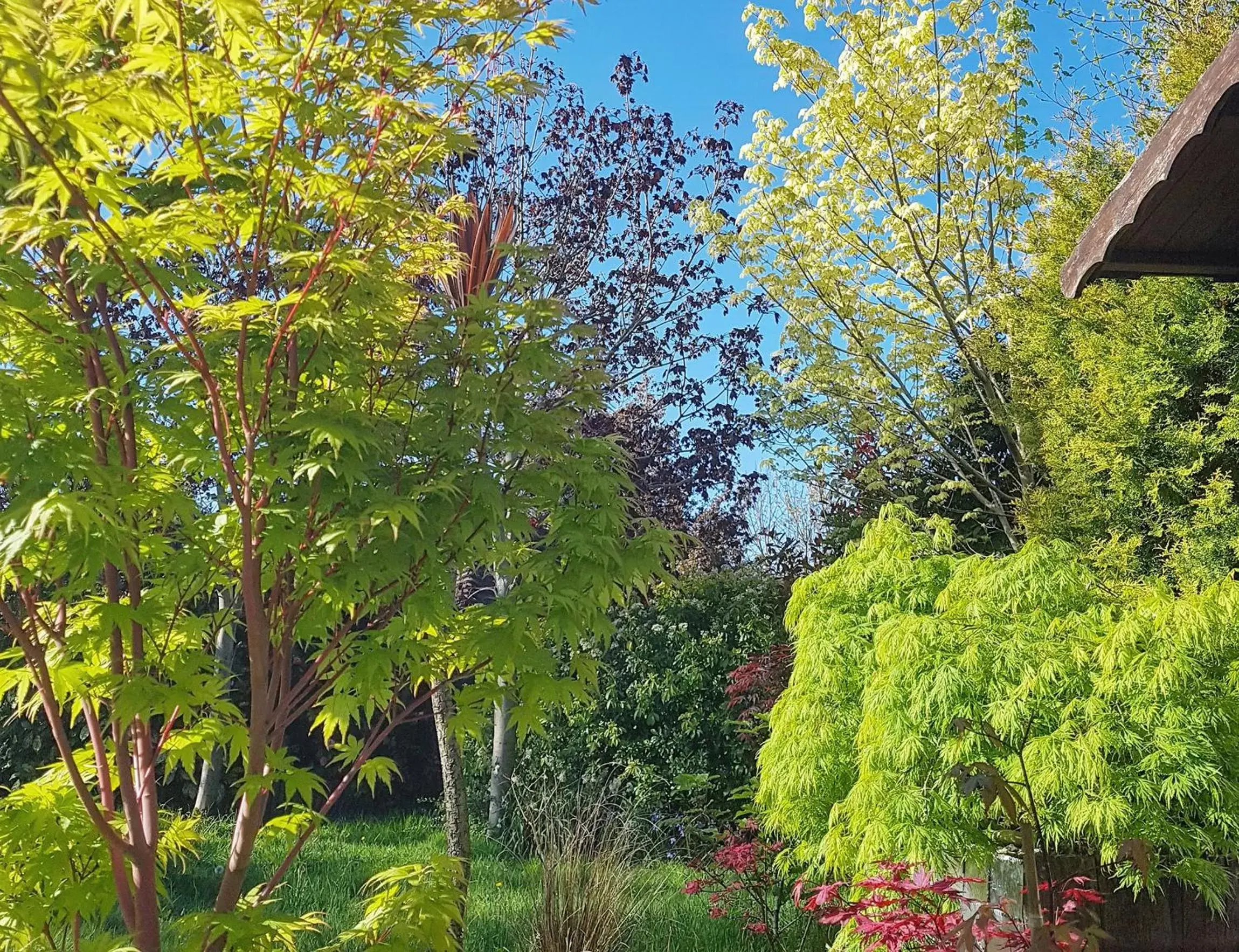 Garden in Wildwood B&B