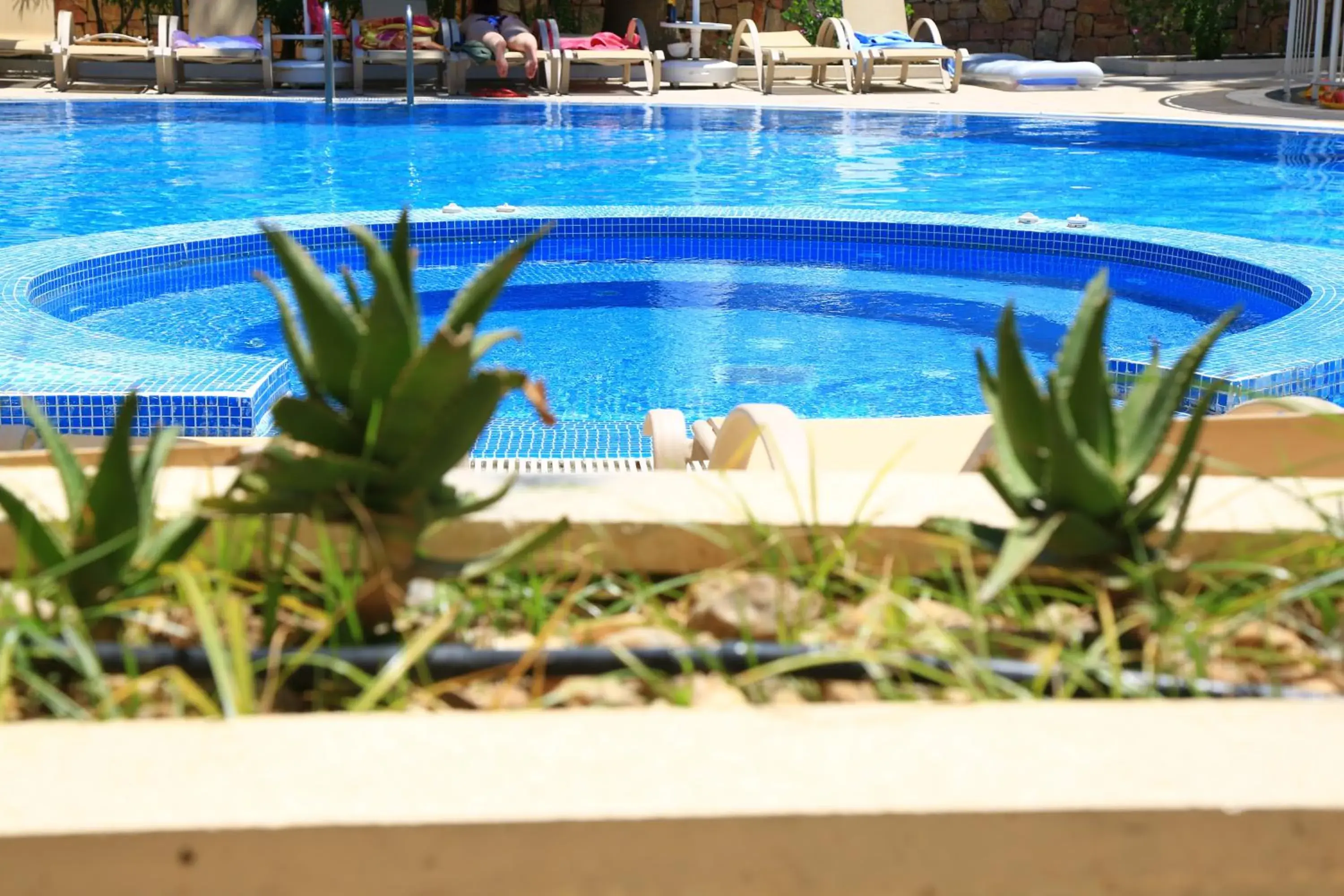 Swimming Pool in Mandarin Resort & Spa