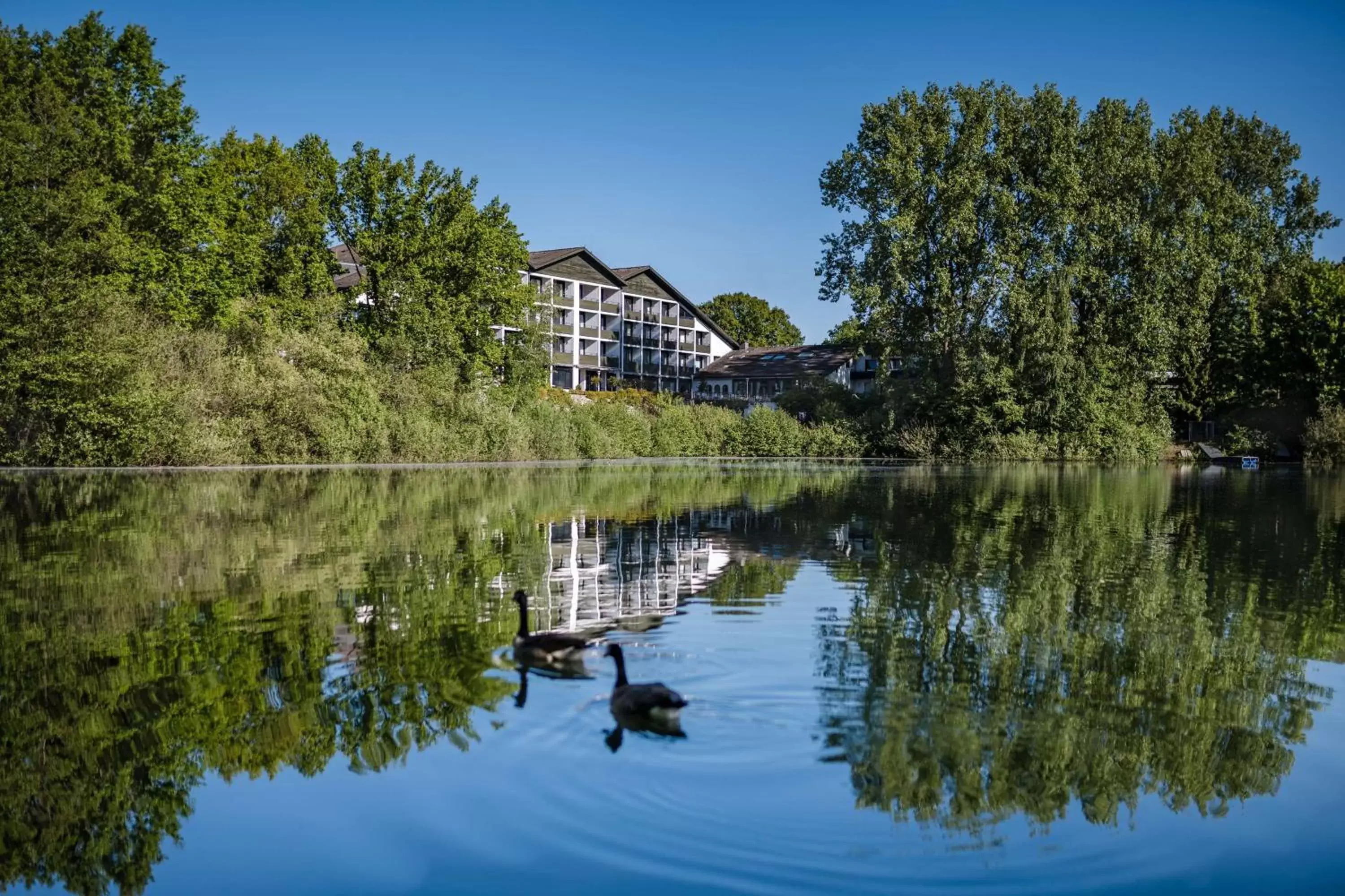 Property building in Best Western Premier Seehotel Krautkrämer