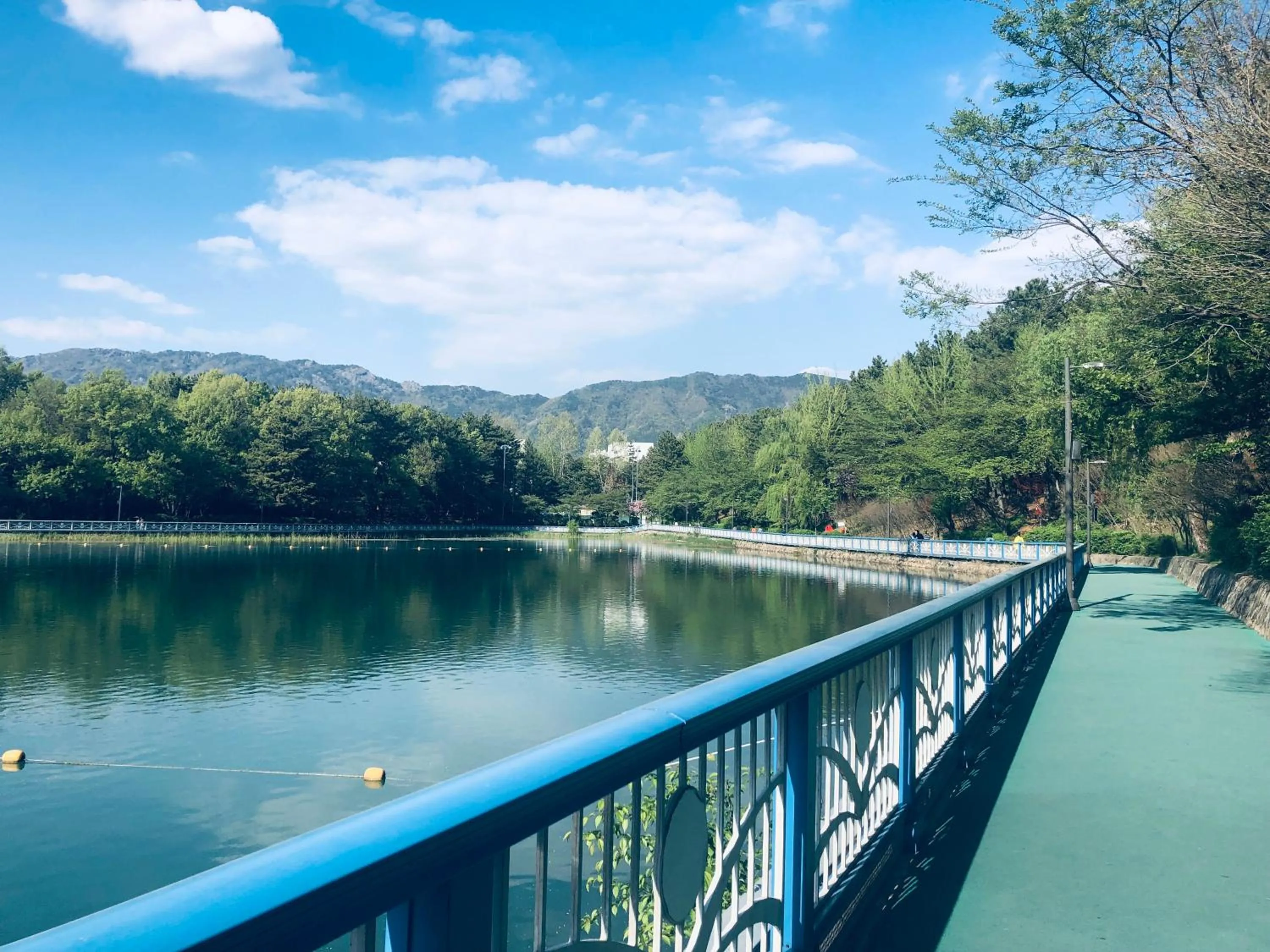 Lake view in Hotel Avenue