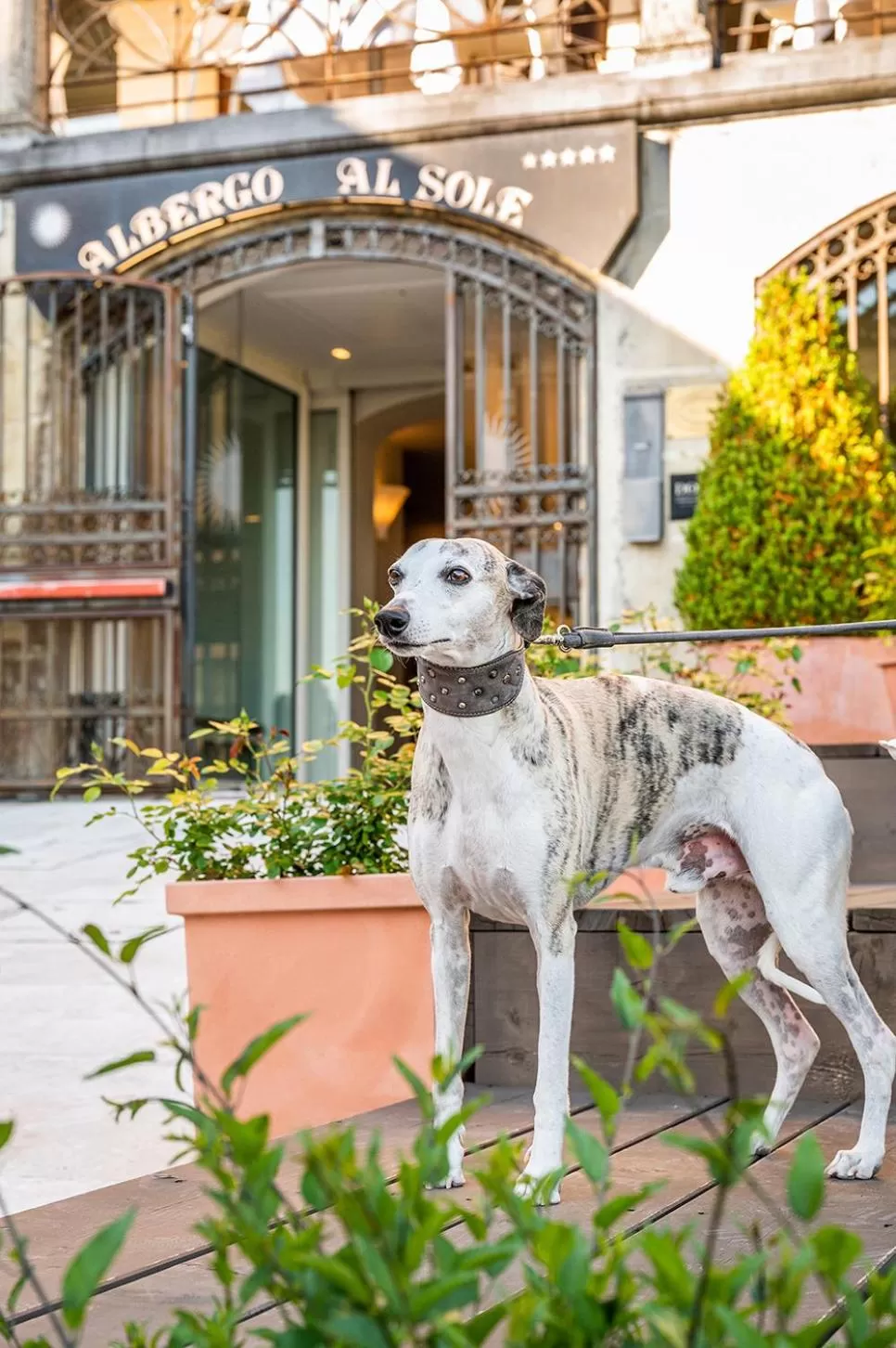 Facade/entrance in Albergo Al Sole
