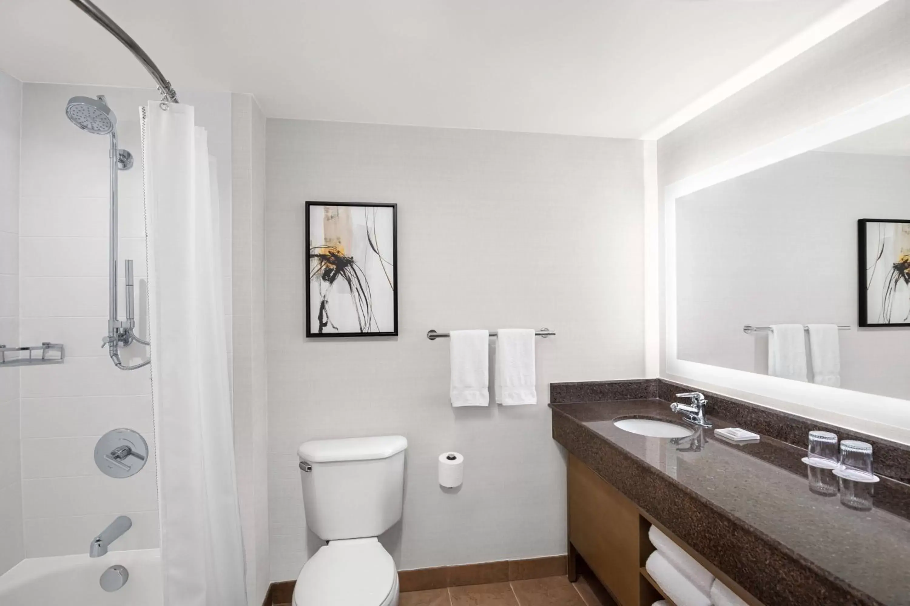 Bathroom in Delta Hotels by Marriott Anaheim Garden Grove