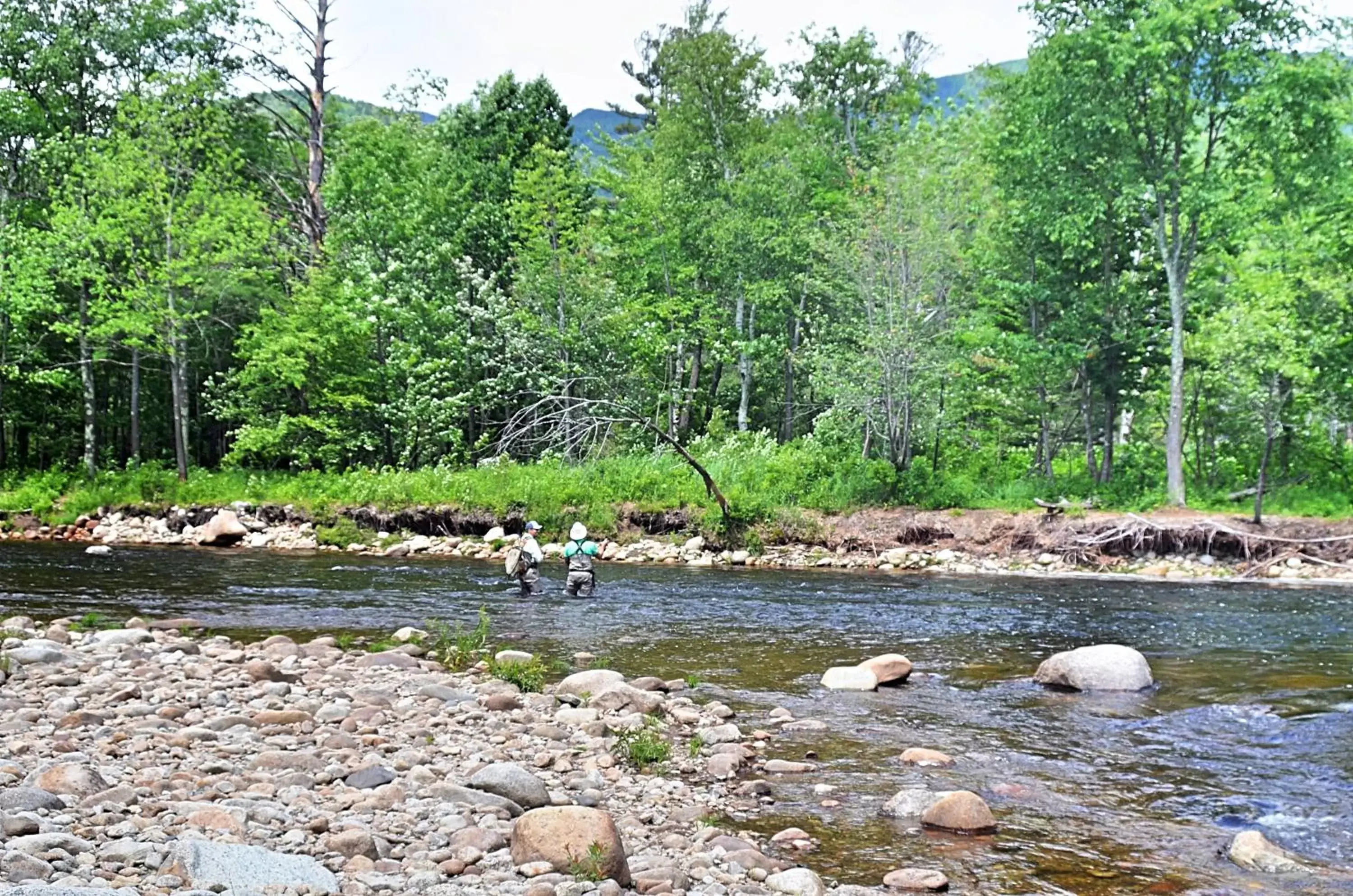 River view in Hungry Trout Resort