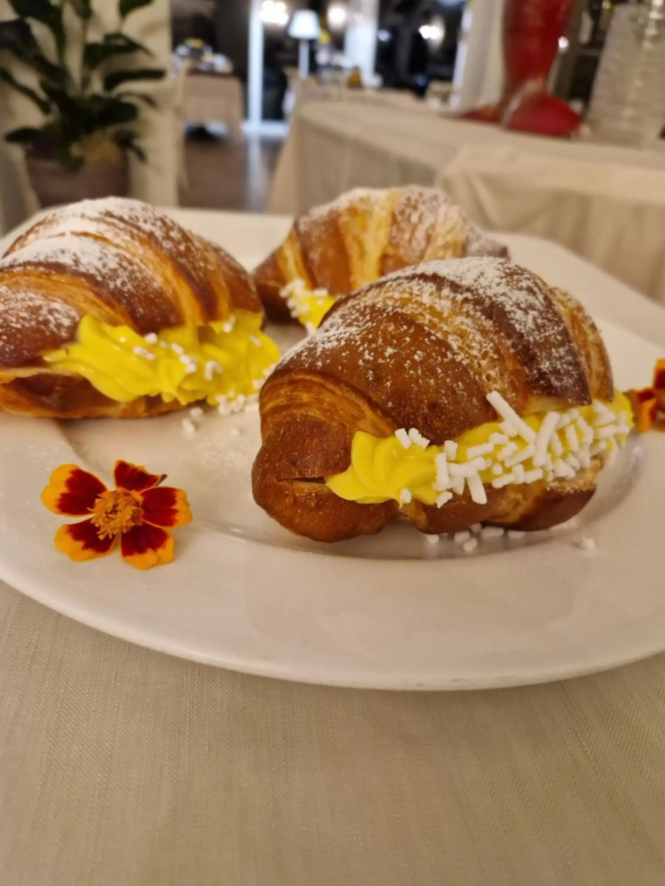 Breakfast in Villa Abbondanzi Resort Breakfast in Villa Abbondanzi Resort