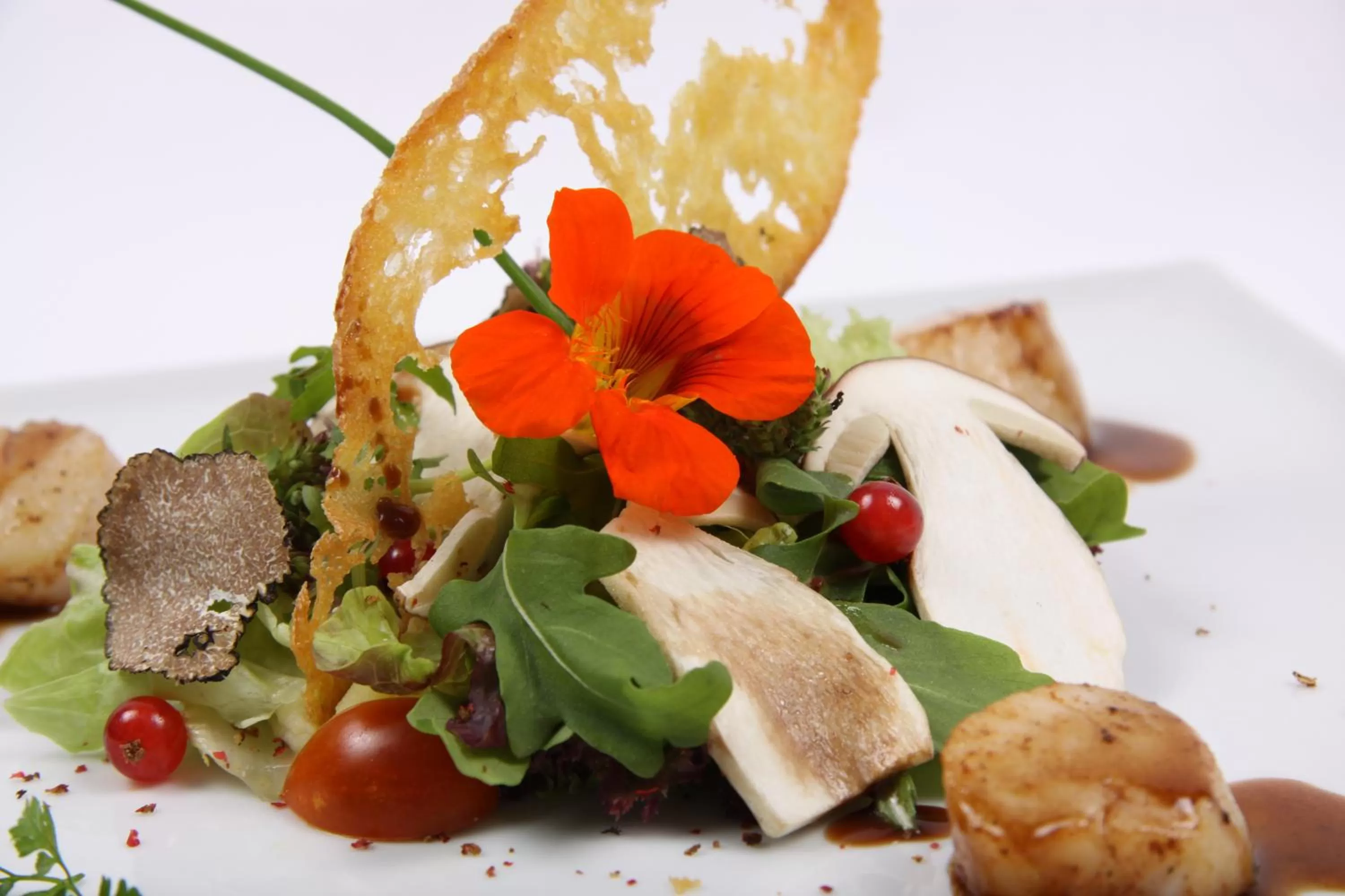 Food and drinks in Hotel zur Pfalz