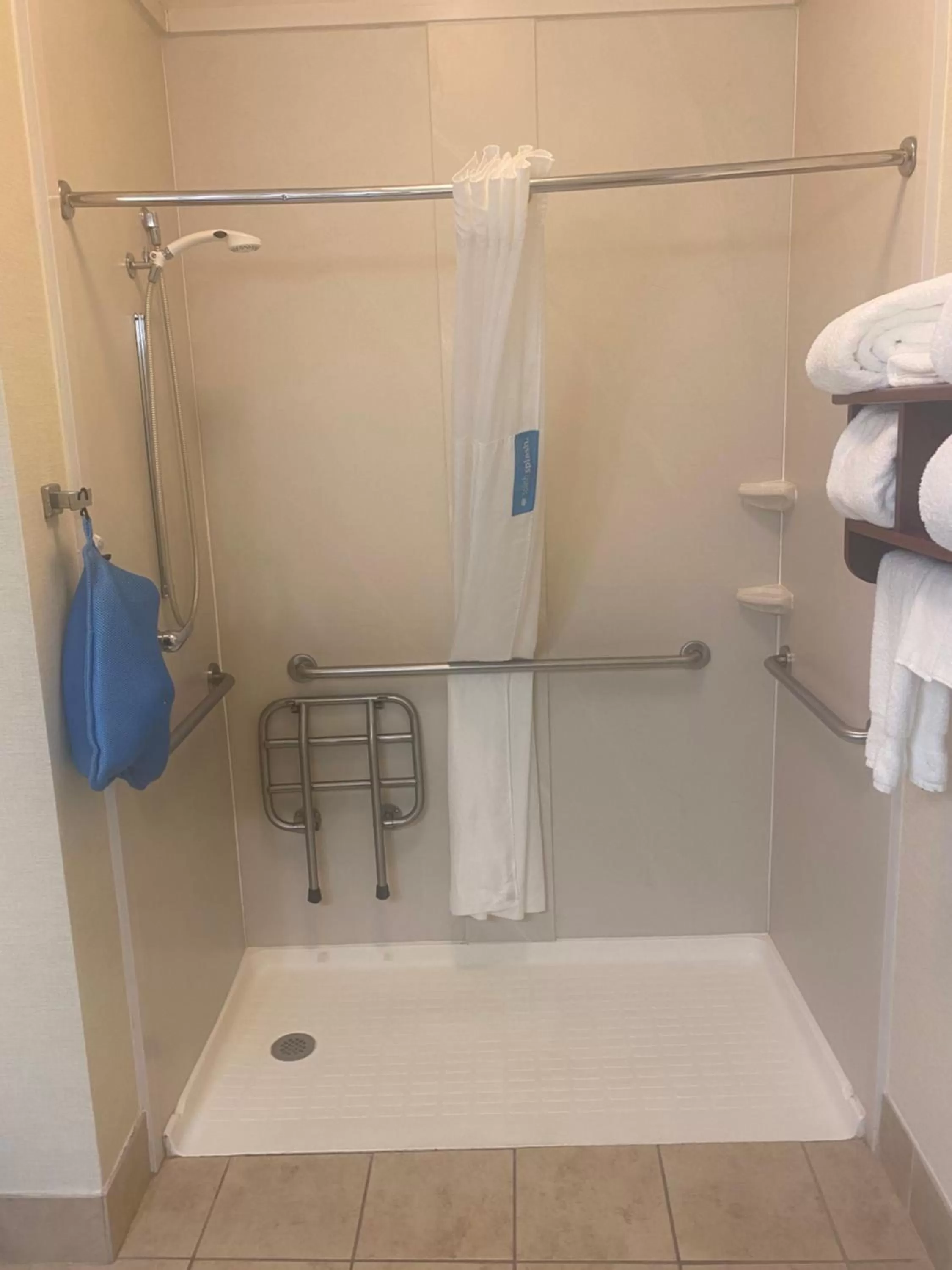 1 King Bed, Mobility/Hearing Accessible Room, Roll-In Shower, Non-Smoking in Wingate by Wyndham Steubenville