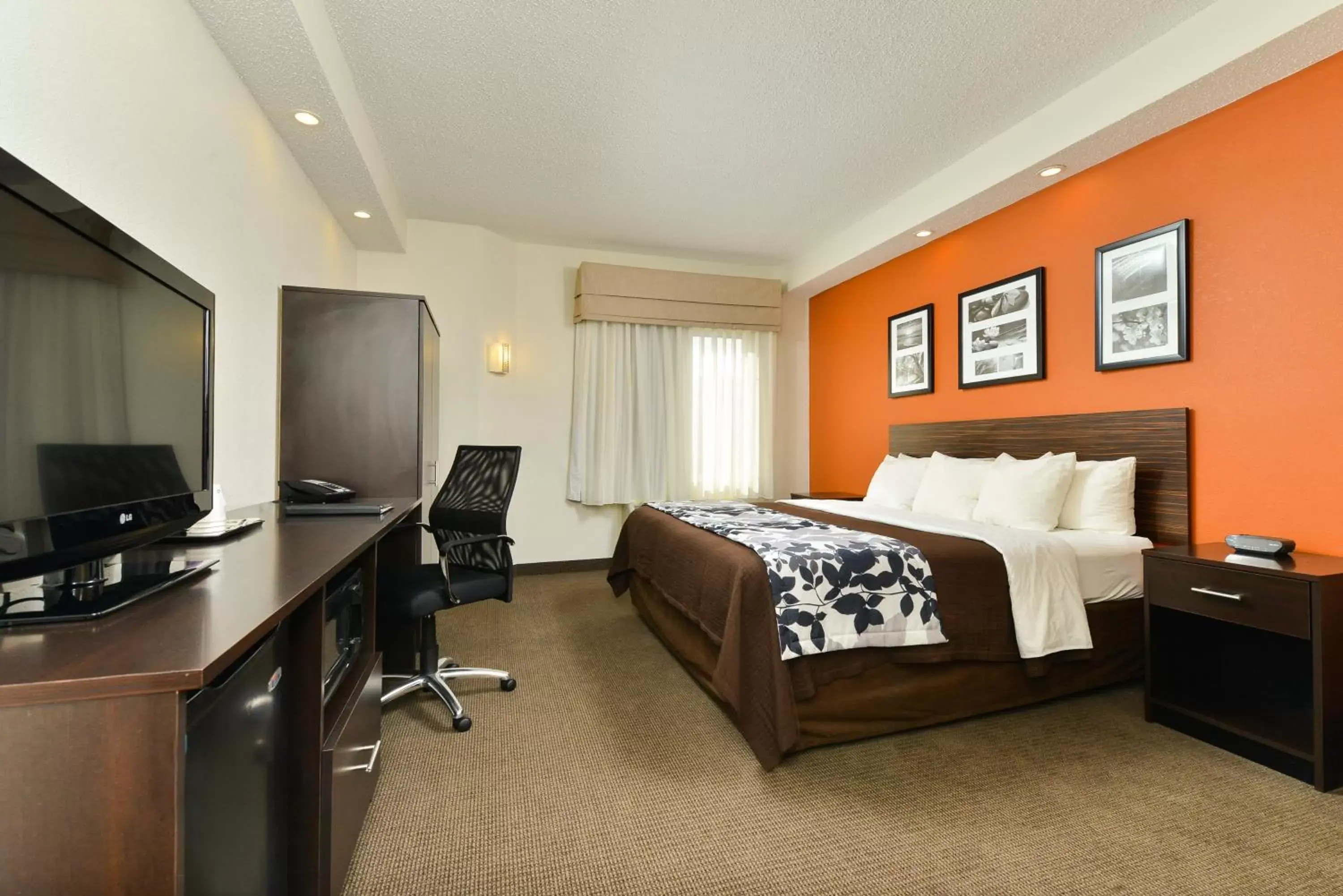 King Room - Non-Smoking in Sleep Inn & Suites at Concord Mills