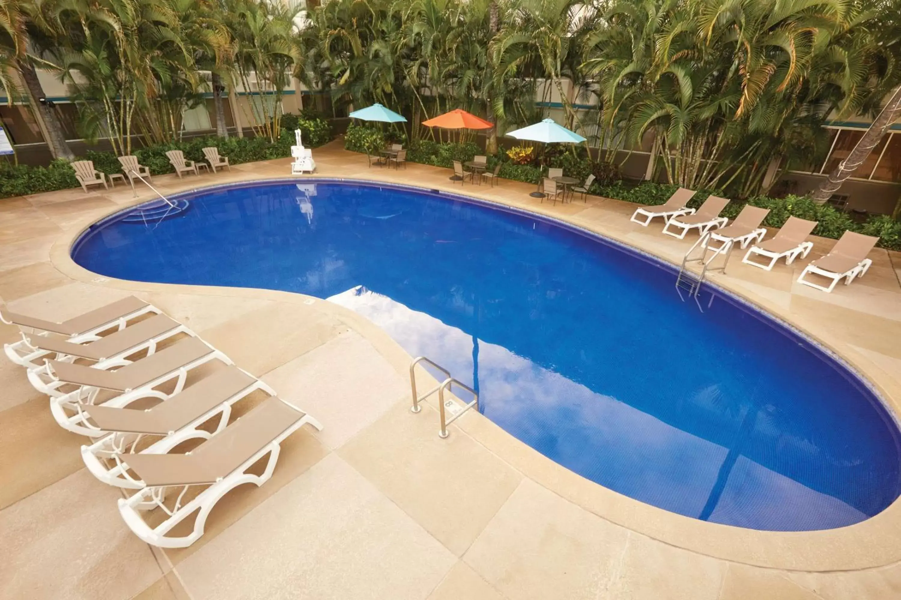 Pool view, Swimming Pool in Airport Honolulu Hotel