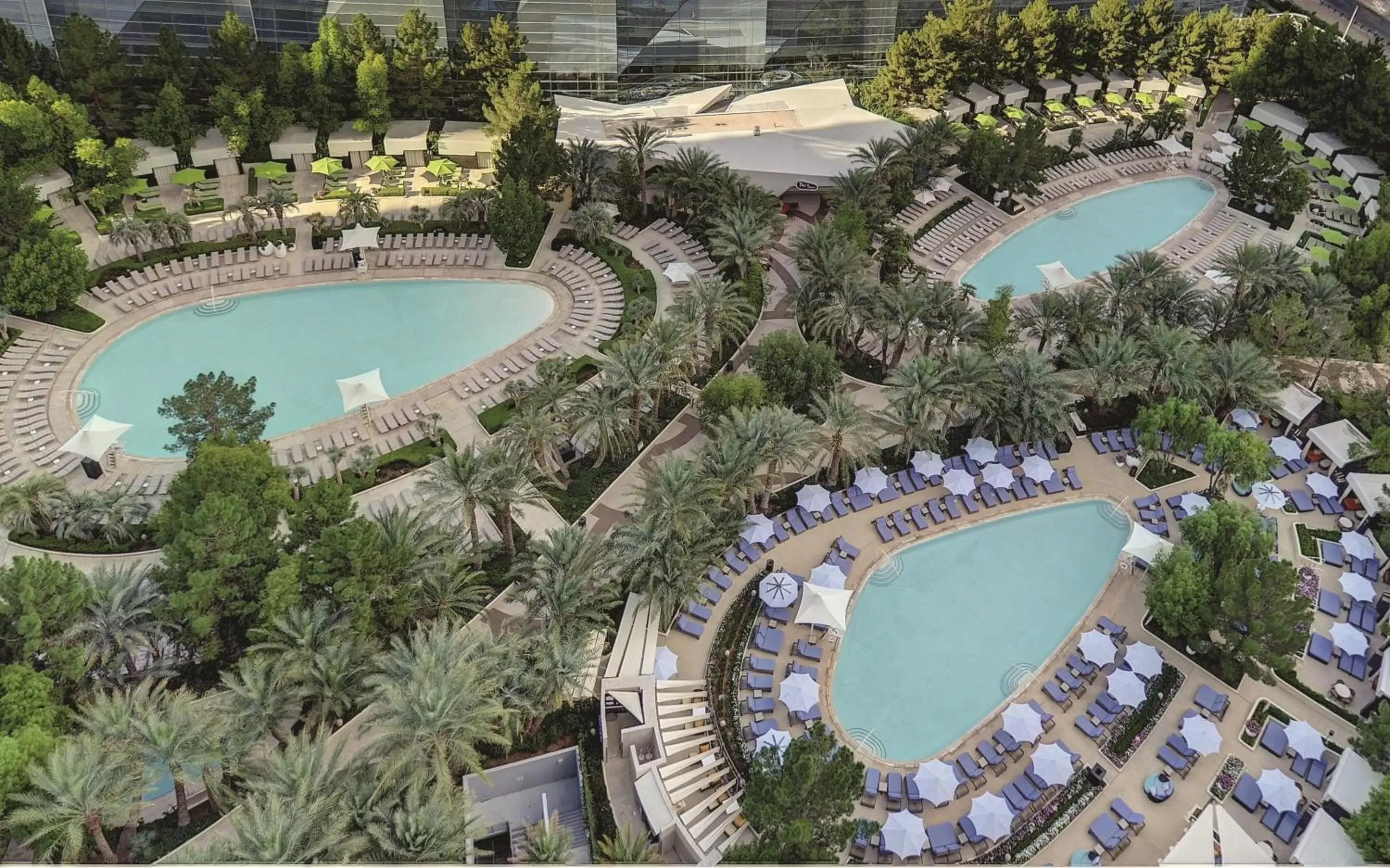 Swimming pool, Pool View in ARIA Resort & Casino