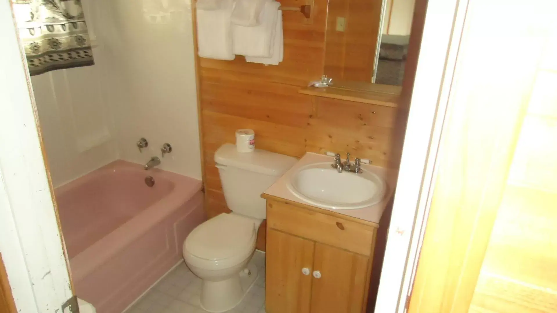 Bathroom in Dreamland Motel
