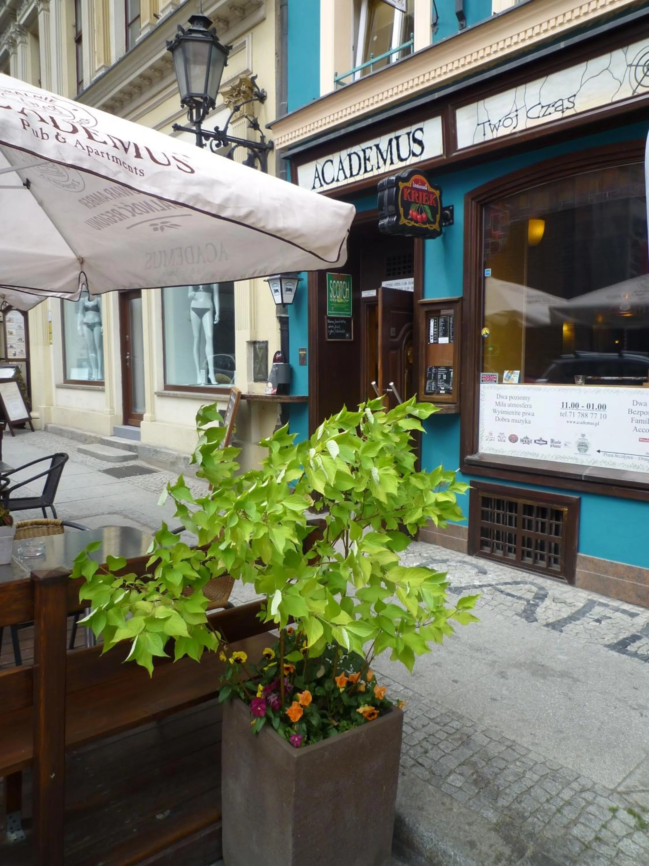 Facade/entrance in Academus Pub & Guest House