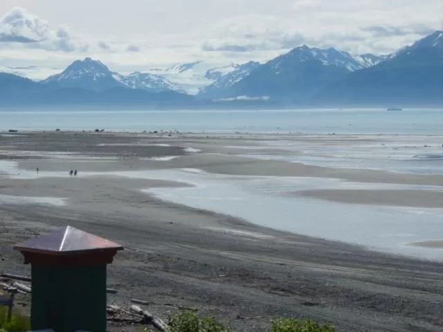 Winter in Driftwood Inn