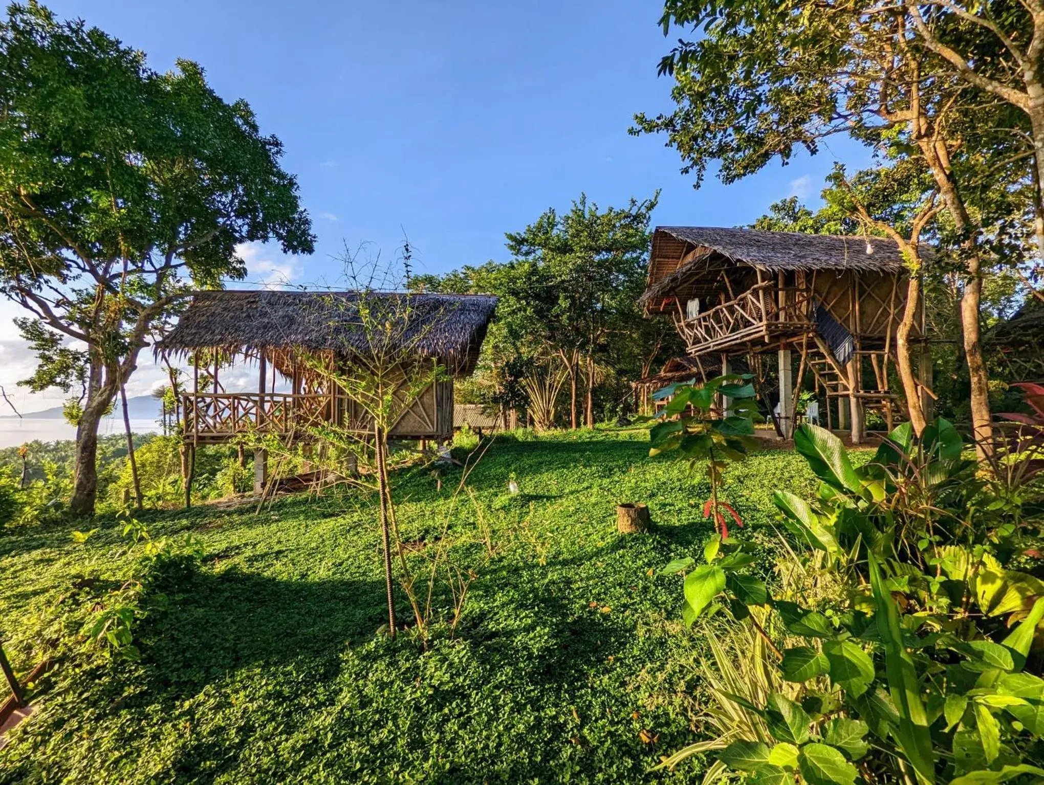 Garden, Property Building in Erlittop Garden Eco Lodge