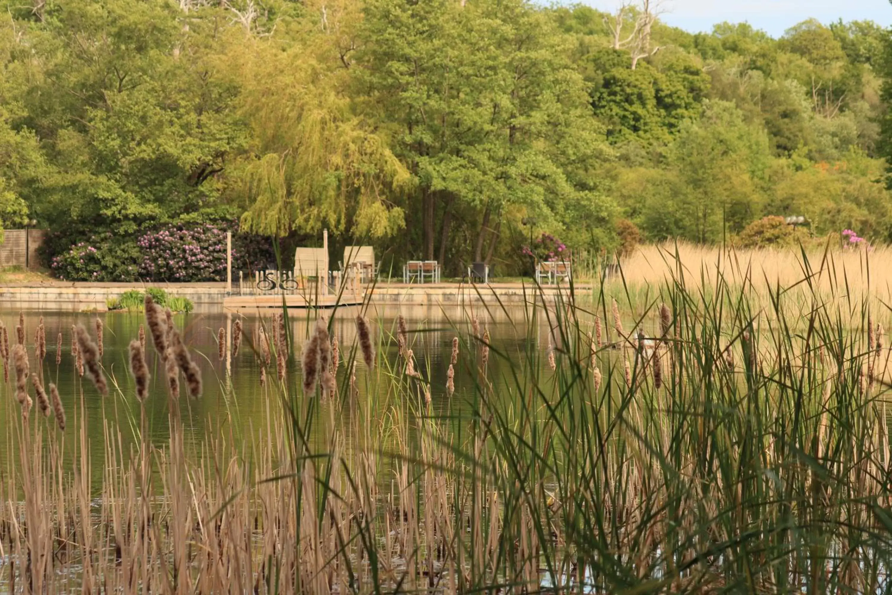 Natural landscape in Inn On The Lake