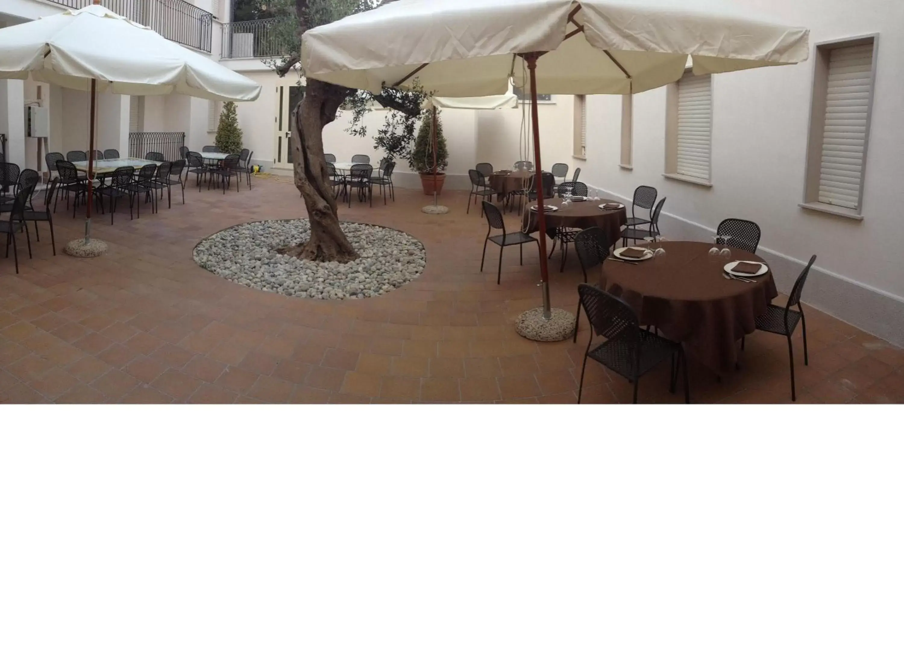 Garden, Restaurant/Places to Eat in Hotel Fini