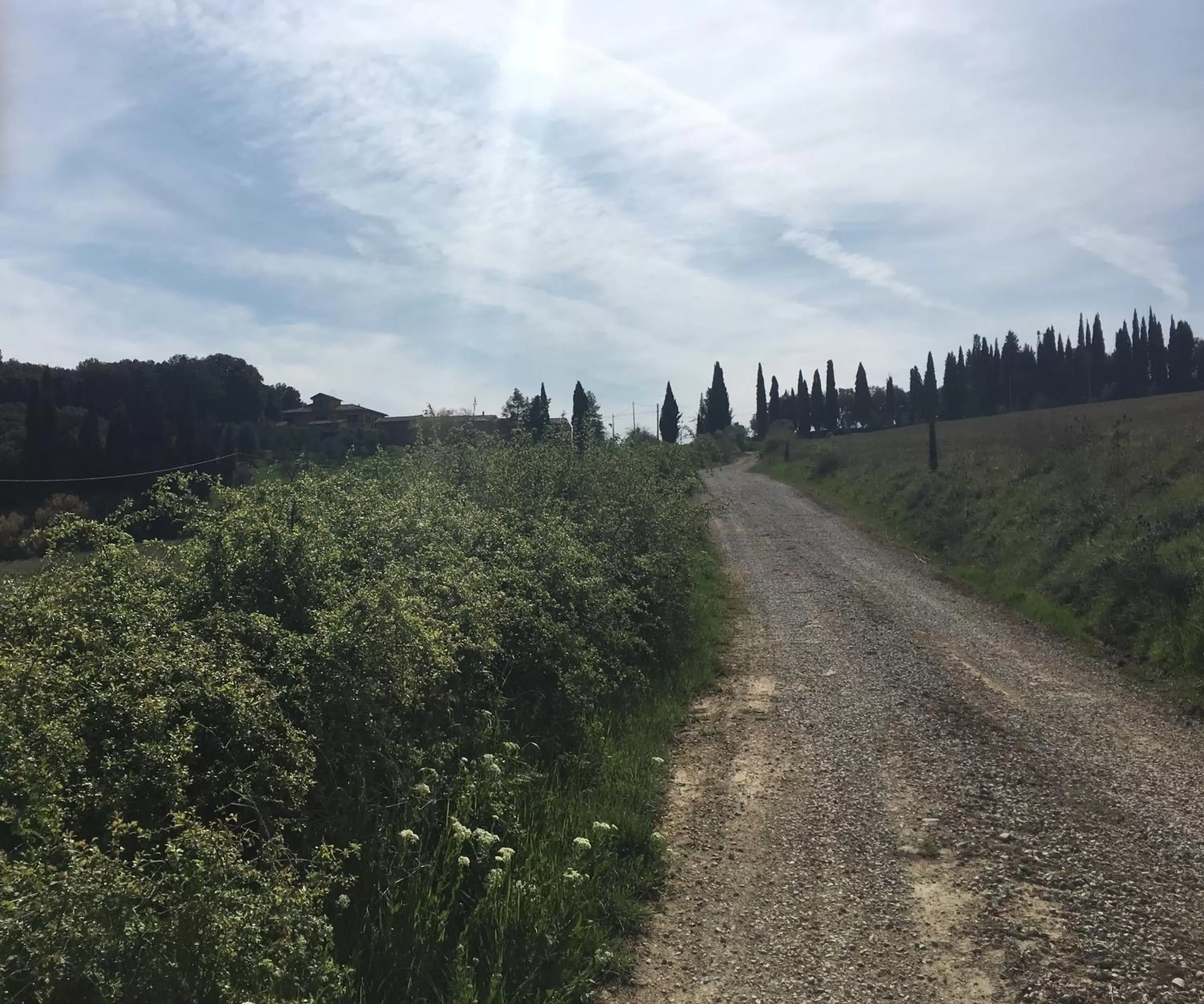 Natural Landscape in Cordella In Valdorcia Truffle and Olive Oil Resort